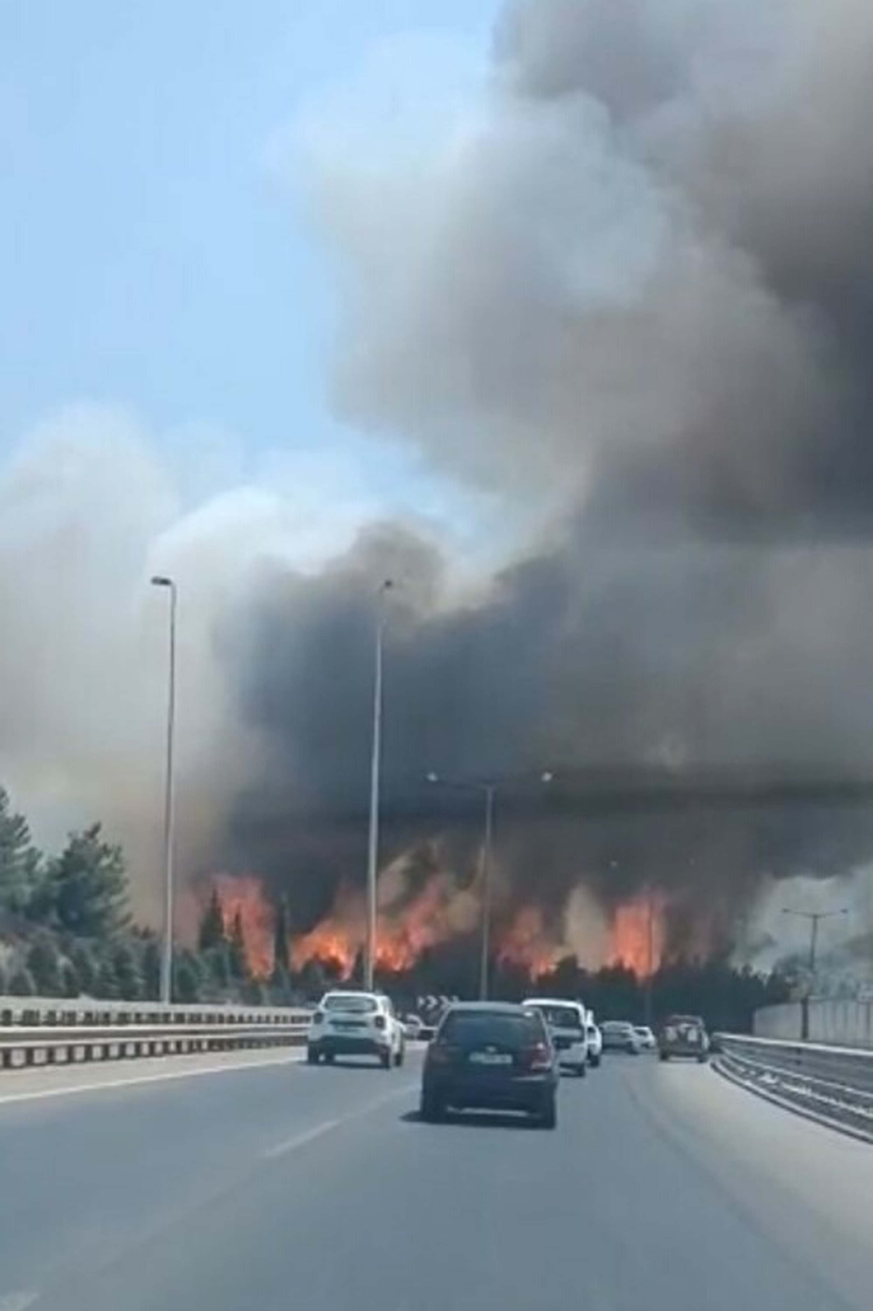 İzmir Buca'da orman yangını