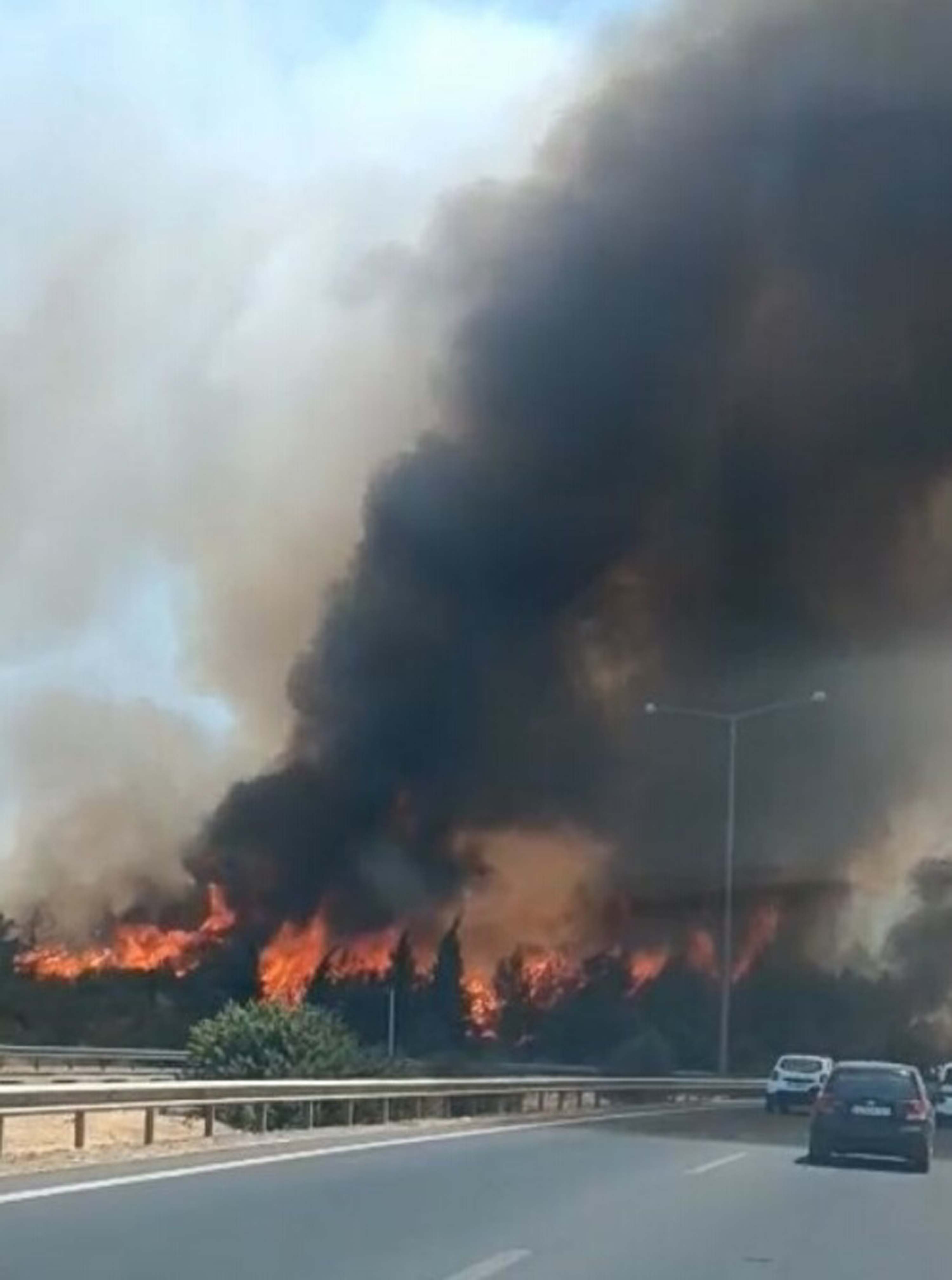 İzmir Buca'da orman yangını