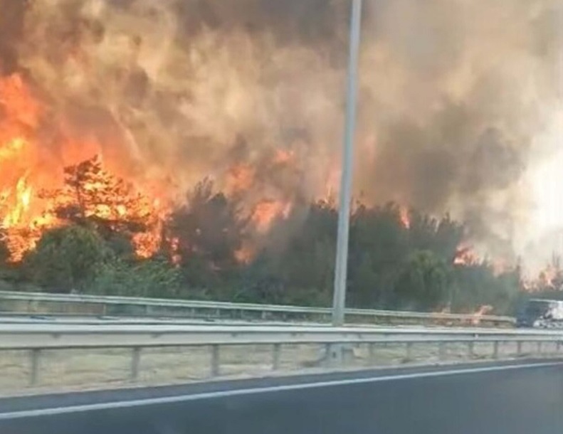 İzmir Buca'da orman yangını