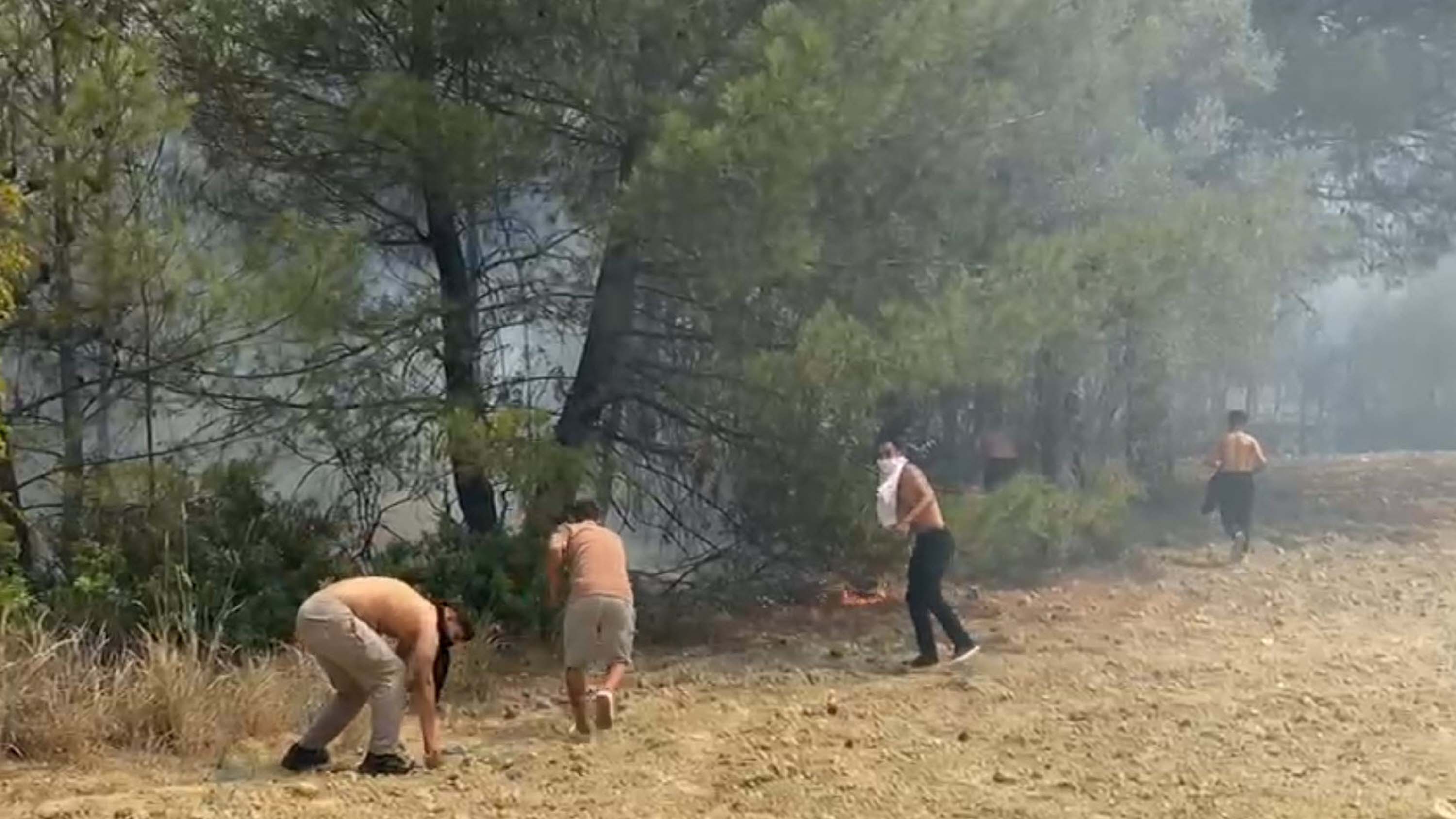 Bornova ve Buca'da orman yangını