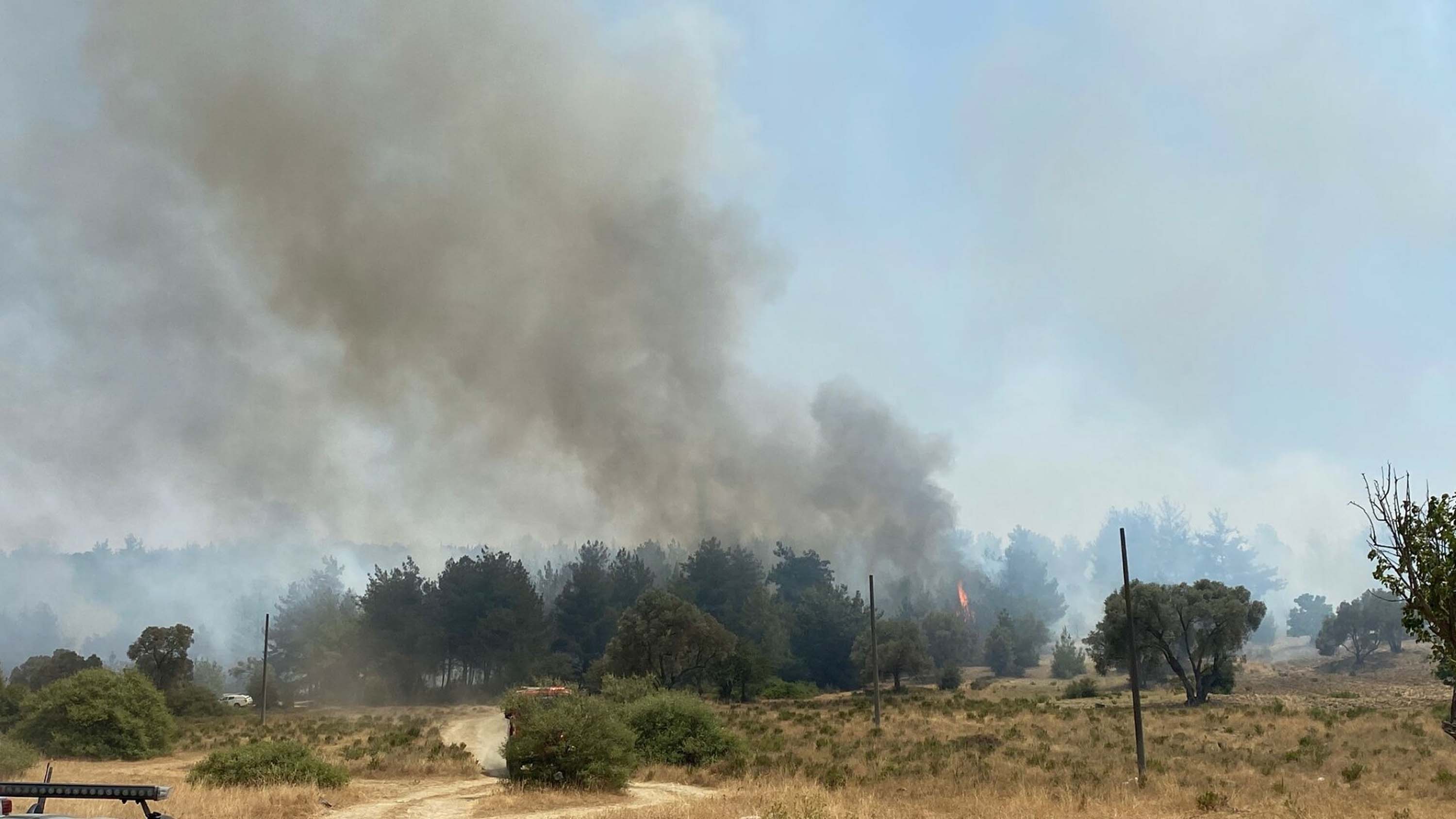 Bornova ve Buca'da orman yangını