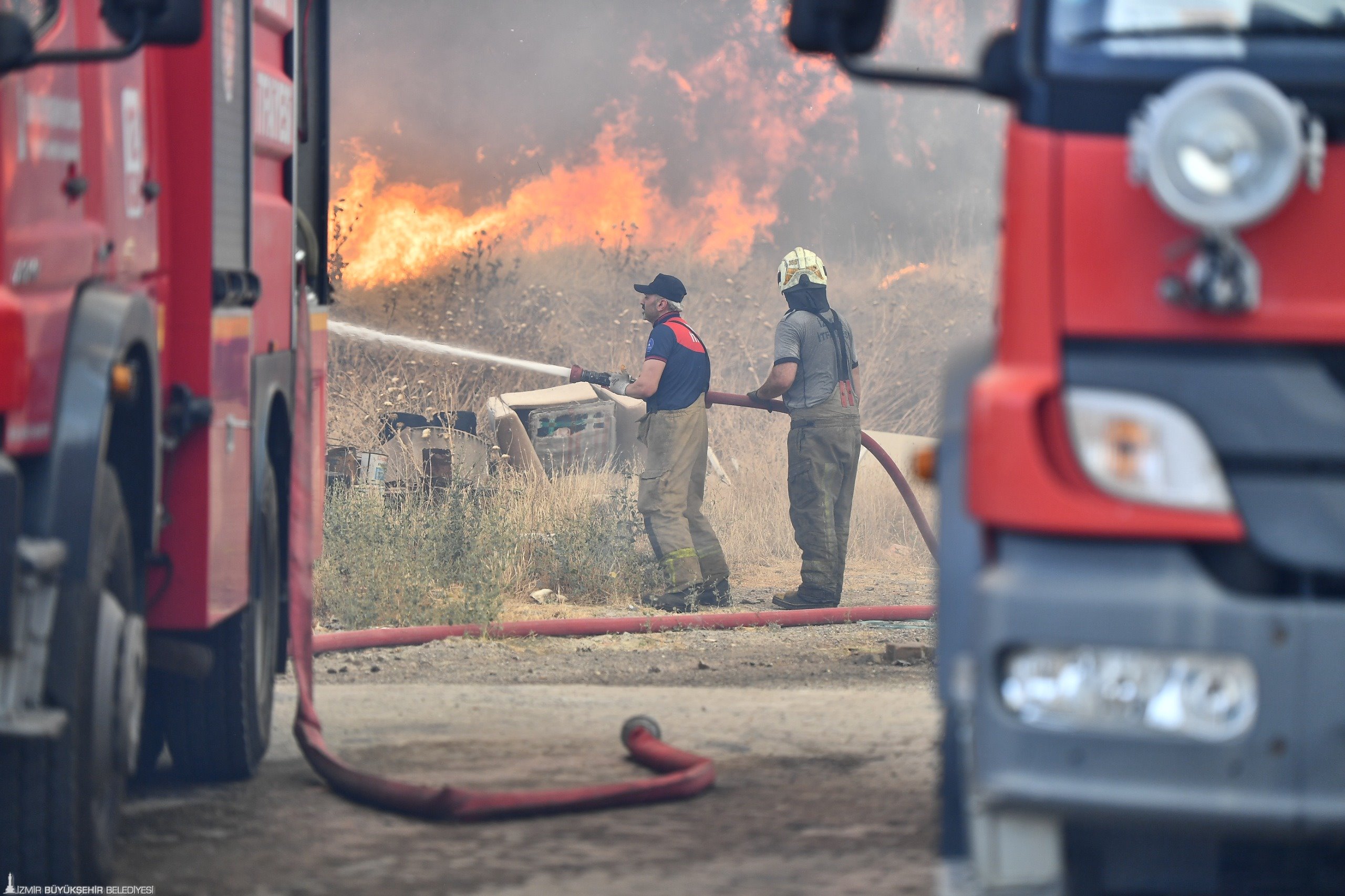 Bornova ve Buca'da orman yangını