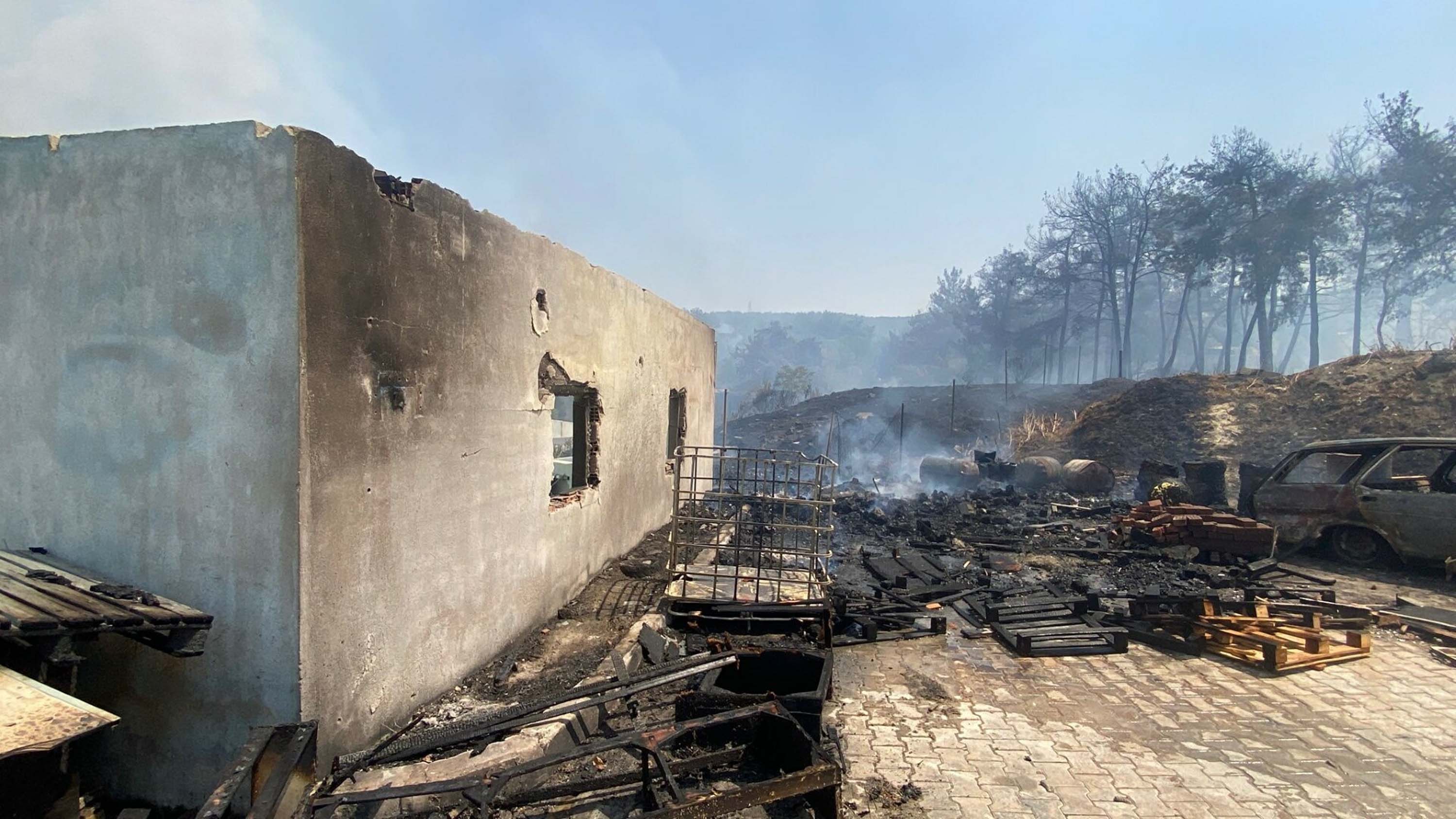 Bornova ve Buca'da orman yangını