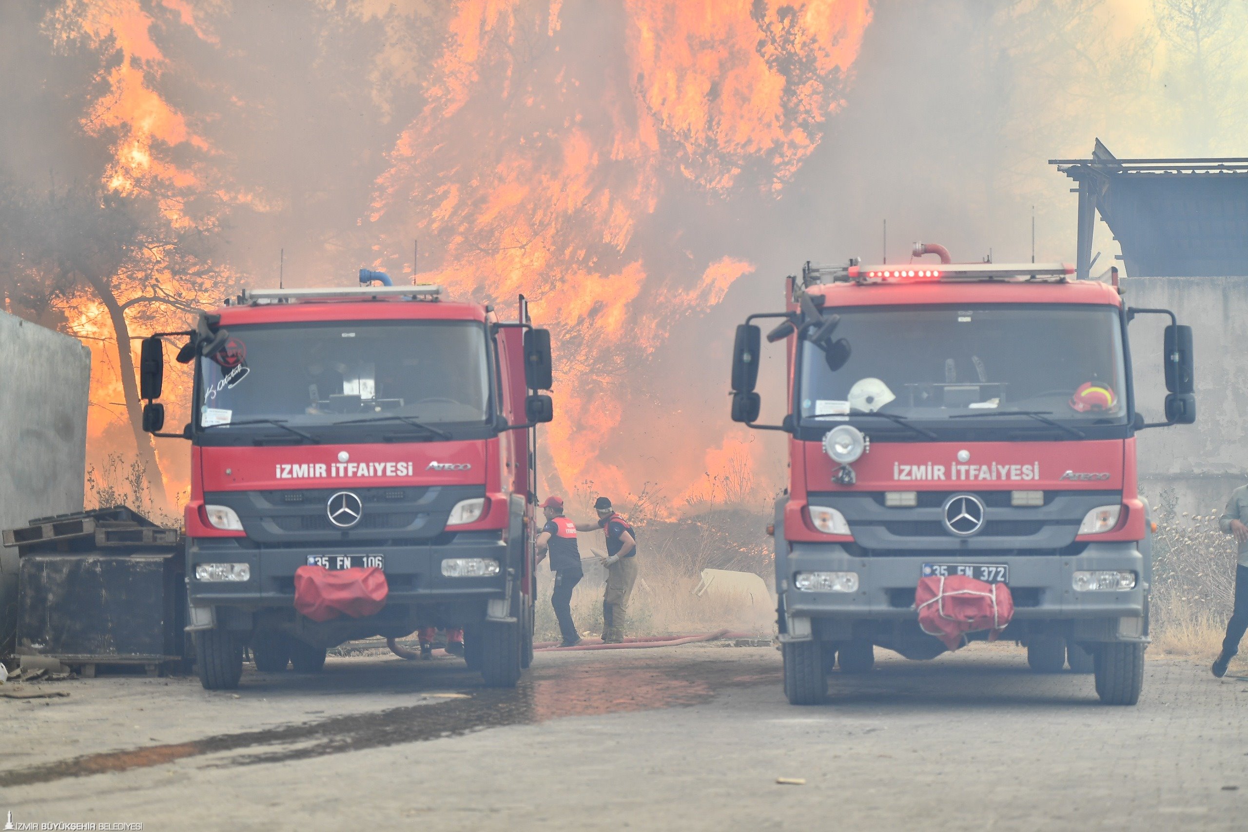 Bornova ve Buca'da orman yangını