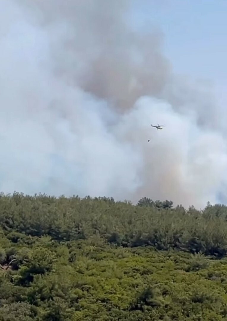 Bornova ve Buca'da orman yangını