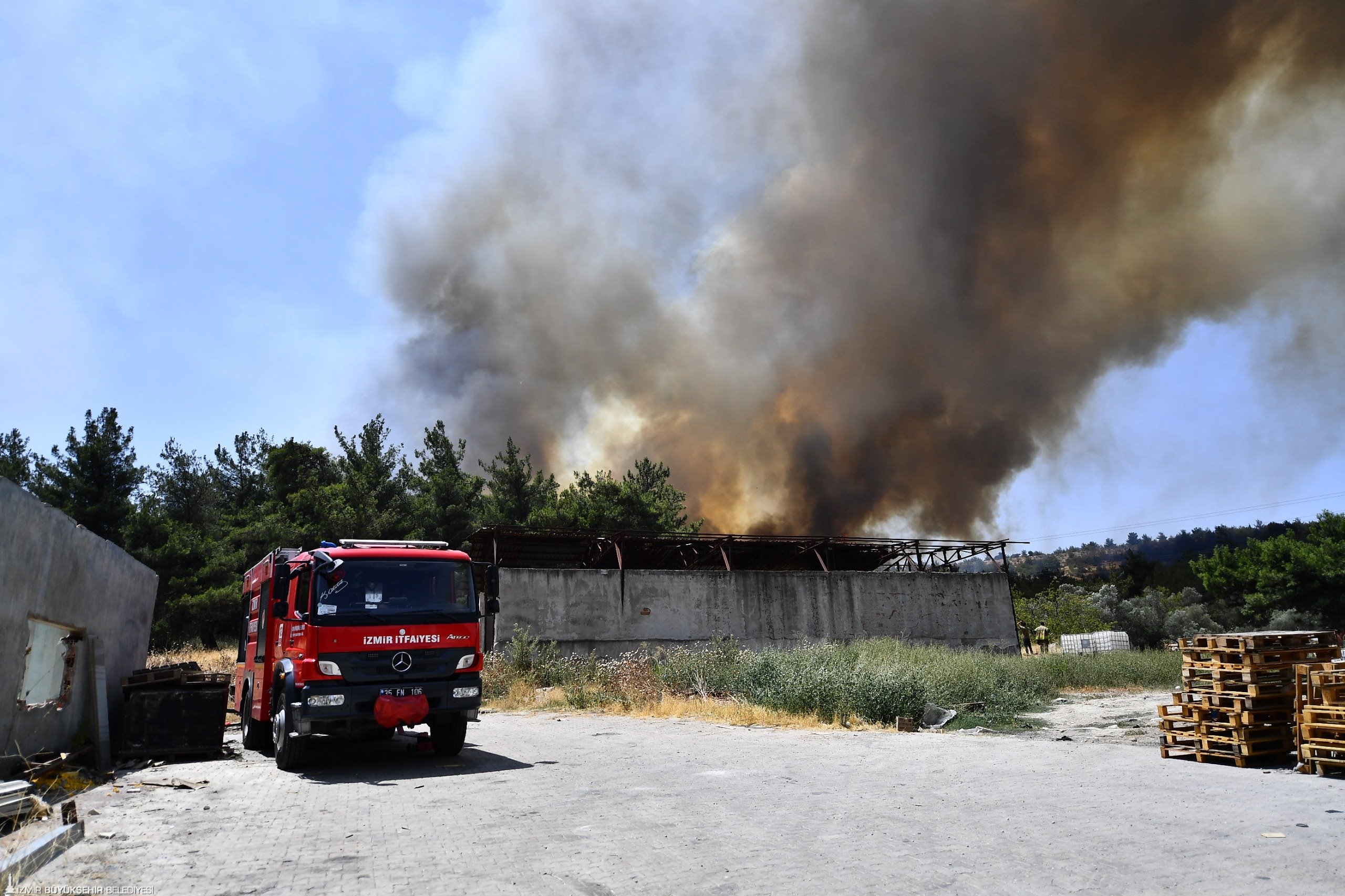 Bornova ve Buca'da orman yangını