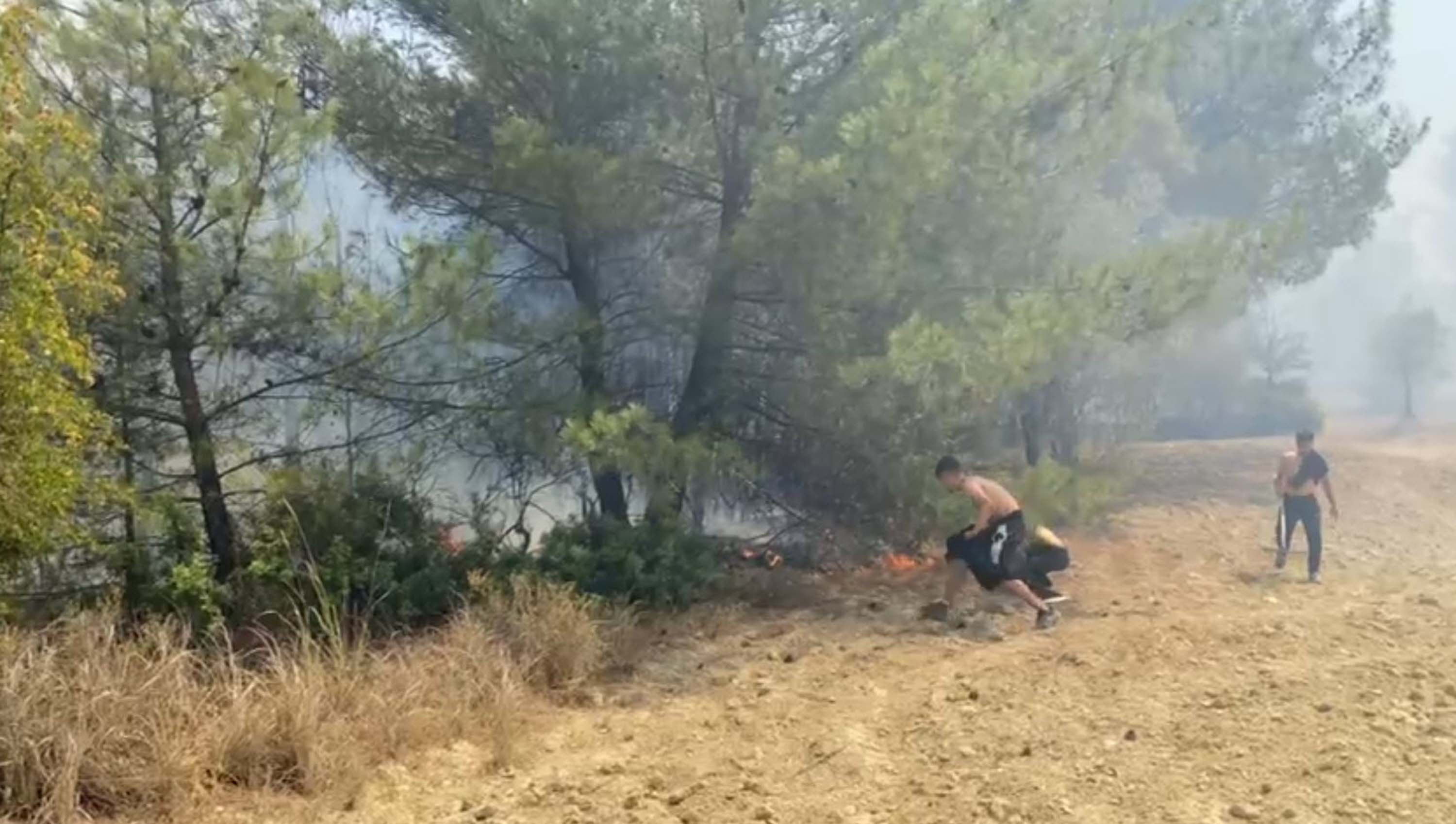 Bornova ve Buca'da orman yangını