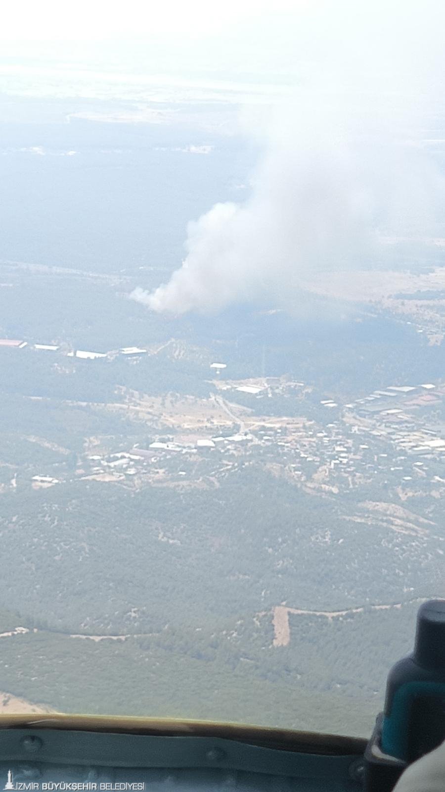 Bornova ve Buca'da orman yangını