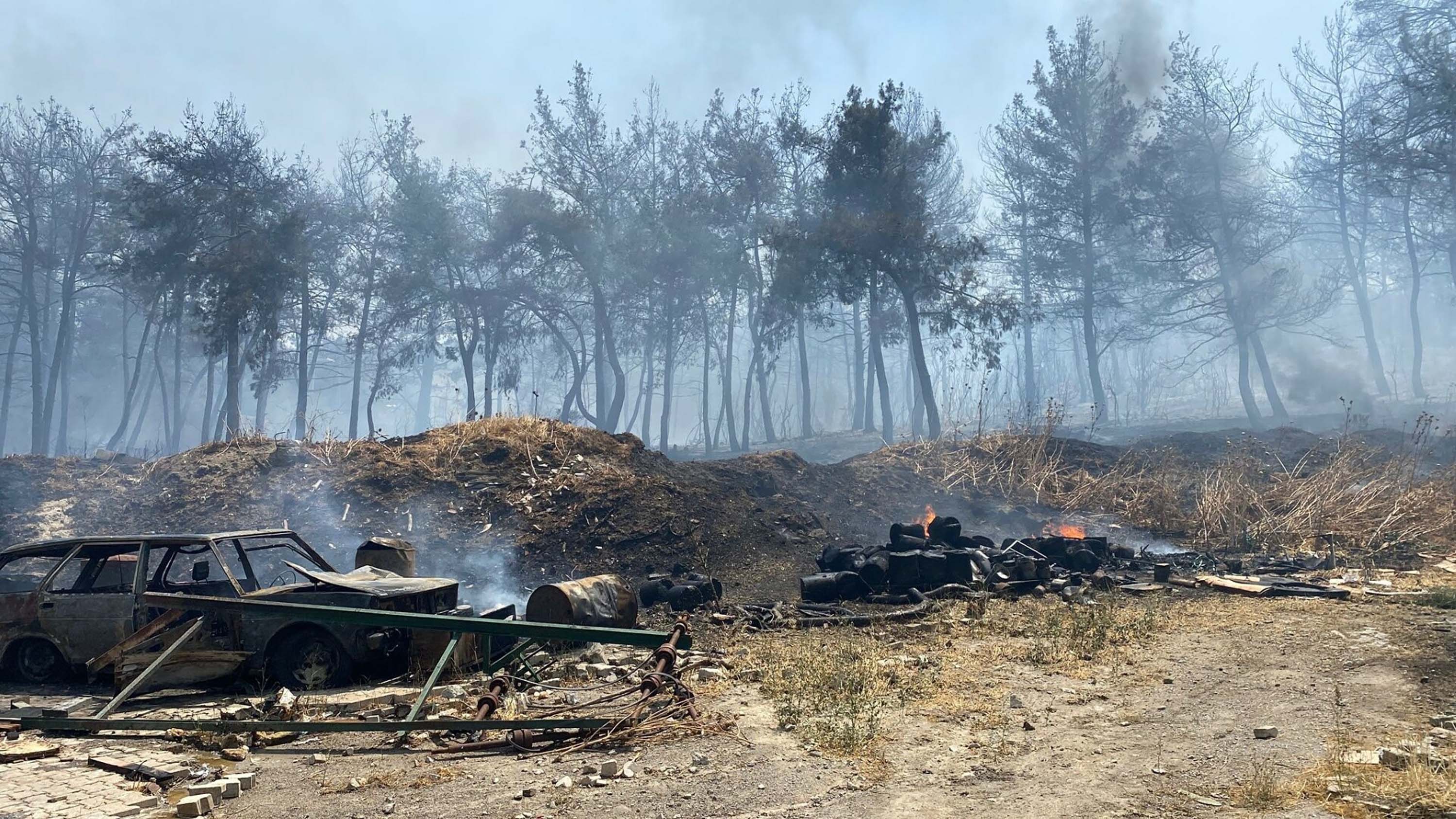 Bornova ve Buca'da orman yangını