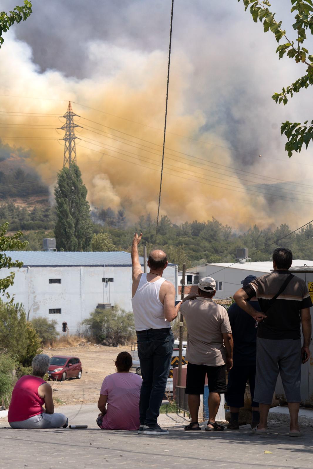 Bornova ve Buca'da orman yangını