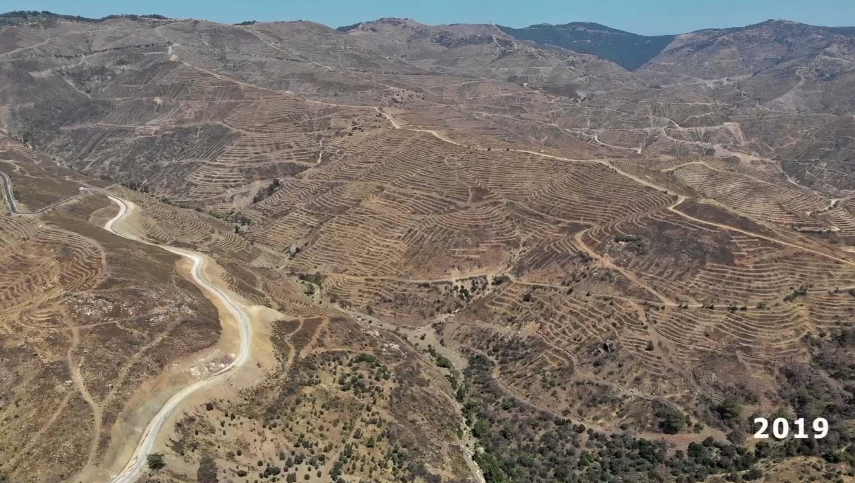 İzmir'de 6 yıl önce yanan orman, dikilen fidanlarla yeniden yeşerdi