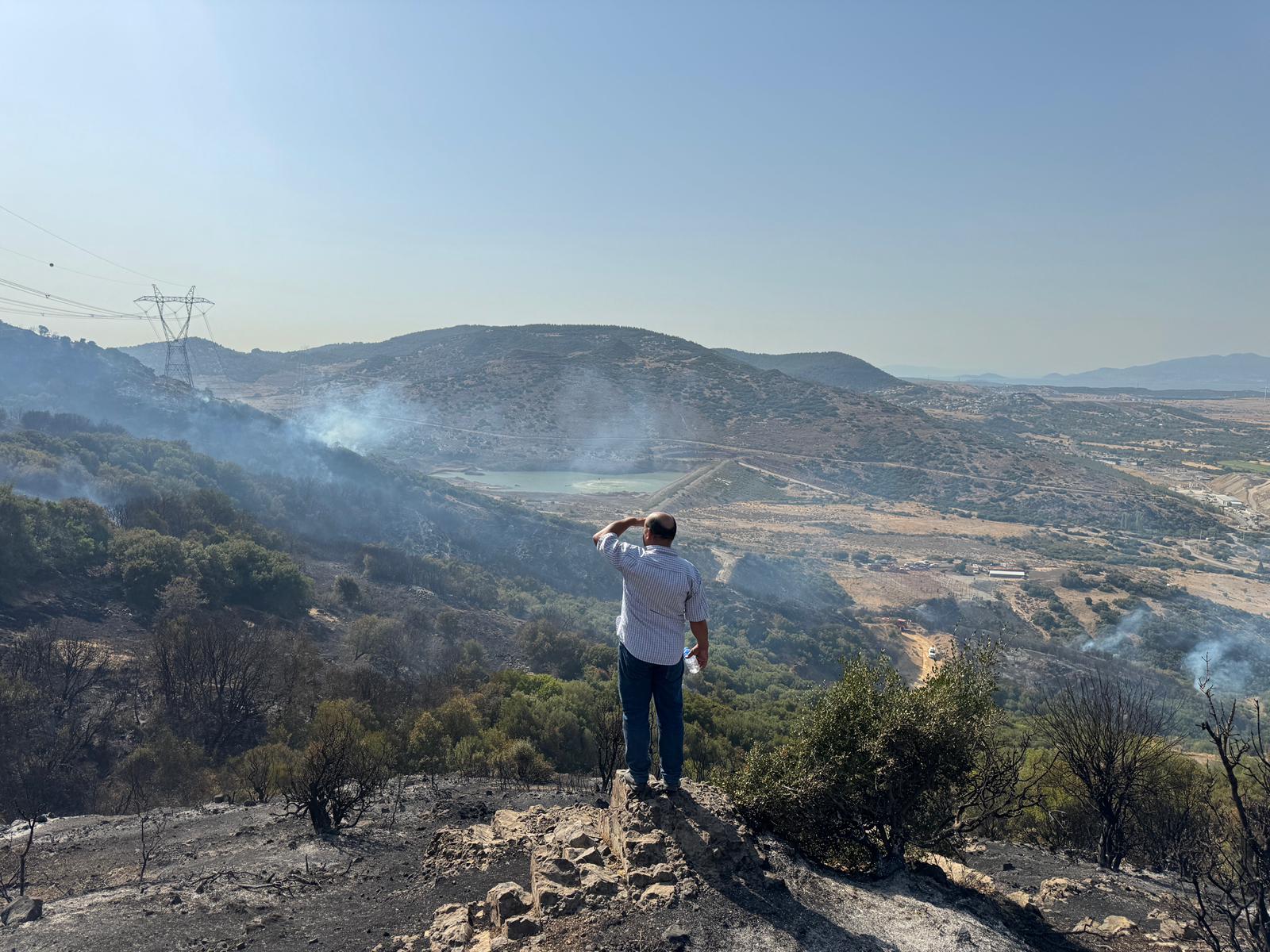 Aliağa’da orman yangını