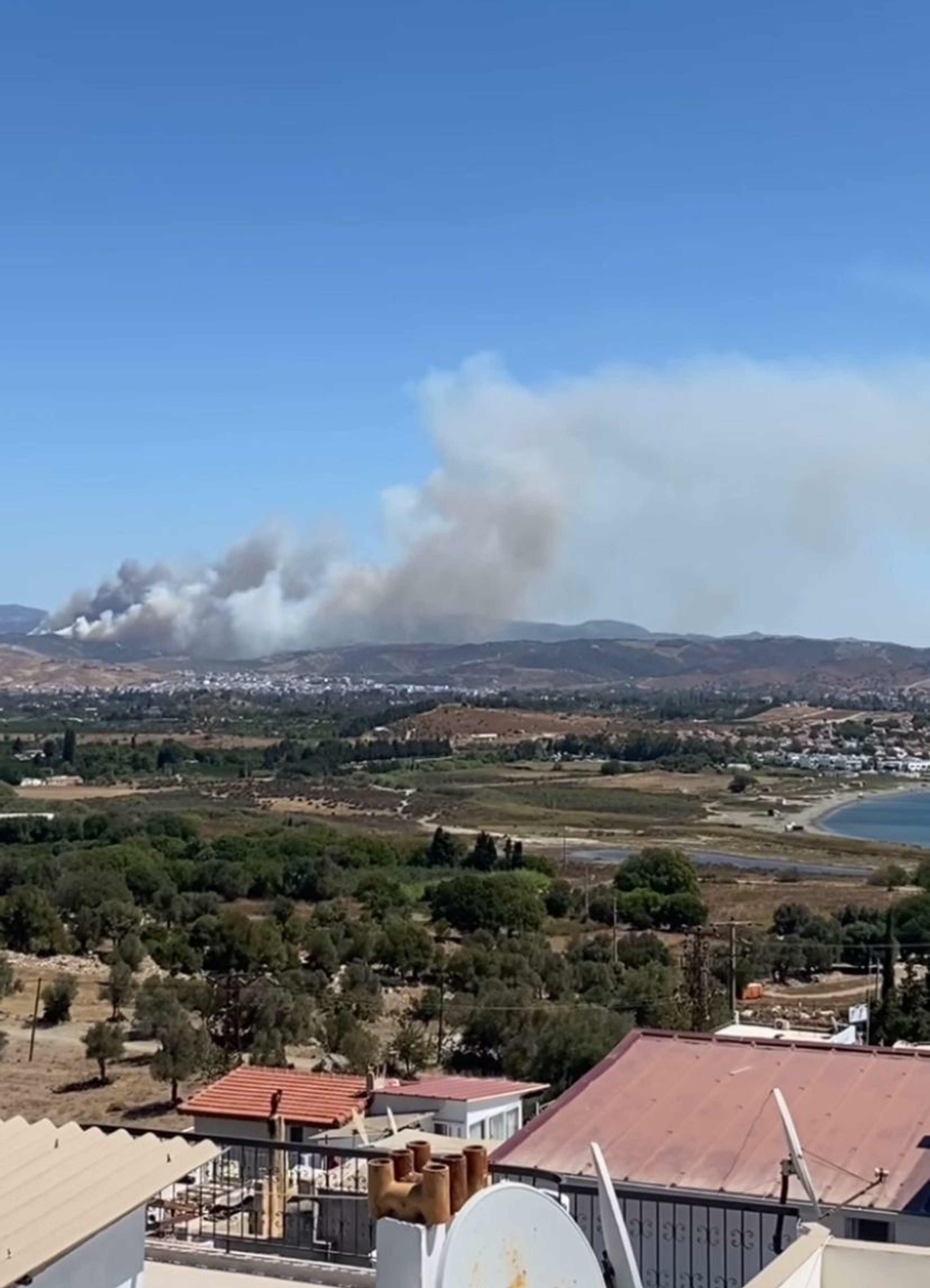Seferihisar'da orman yangını