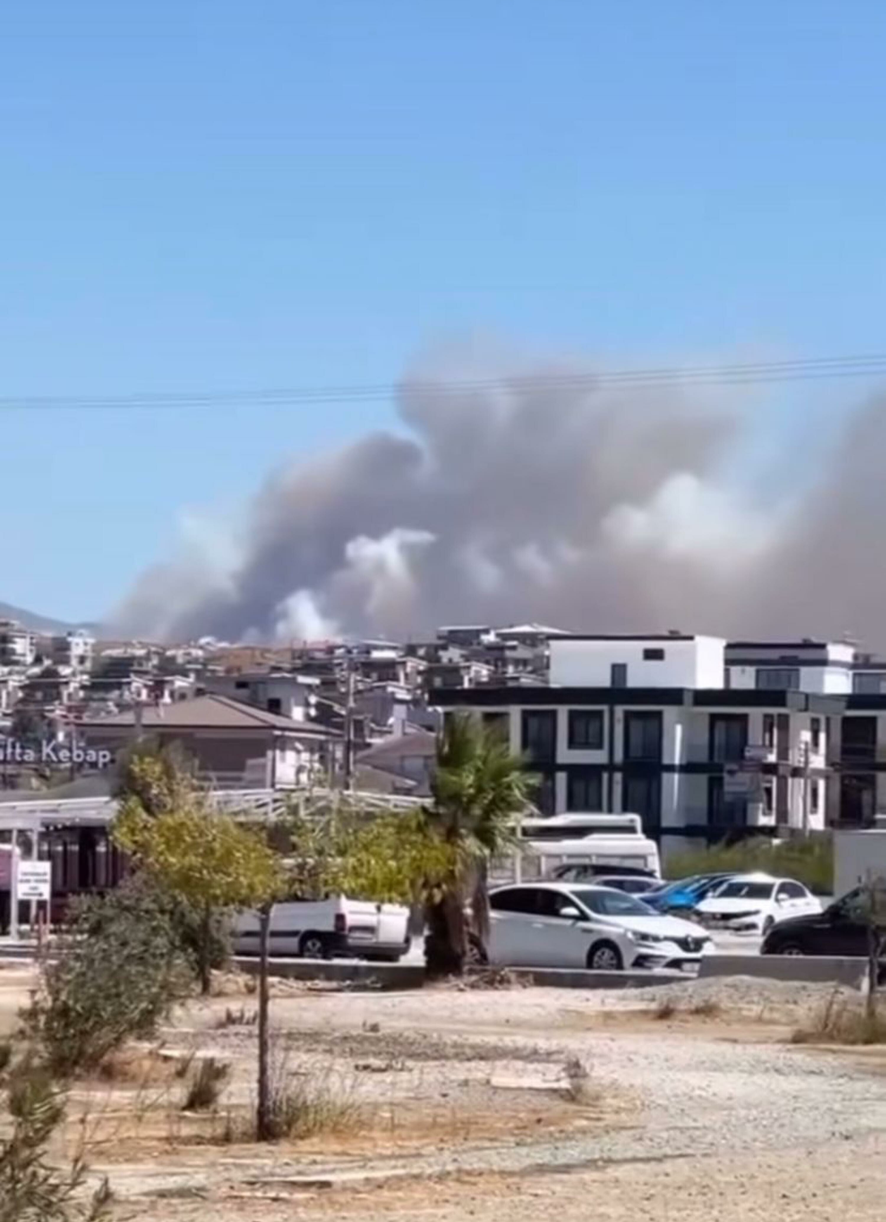 Seferihisar'da orman yangını