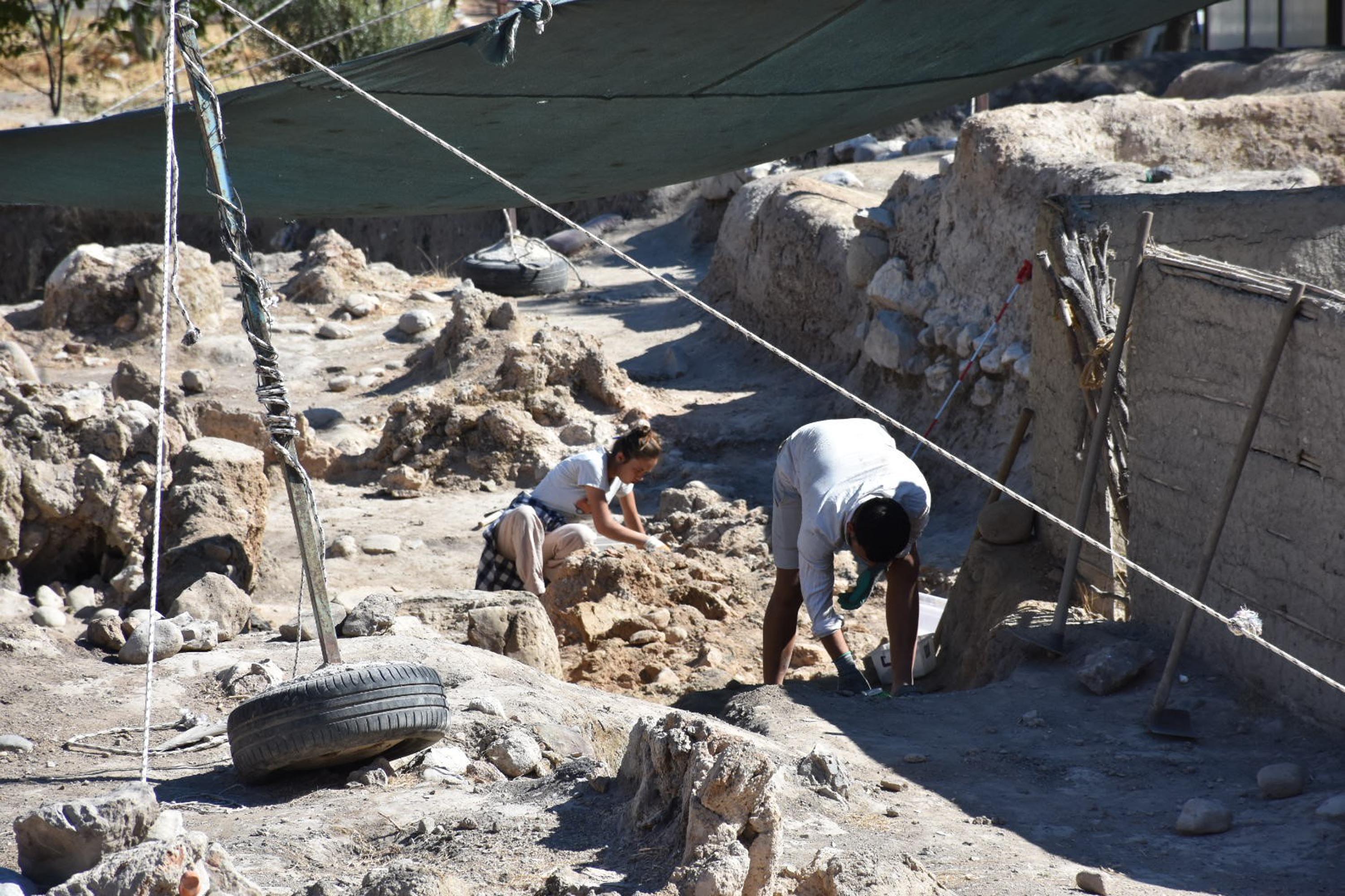 Ulucak Höyüğü'nde 8 bin yıllık Göbeklitepe üslubunda heykelci