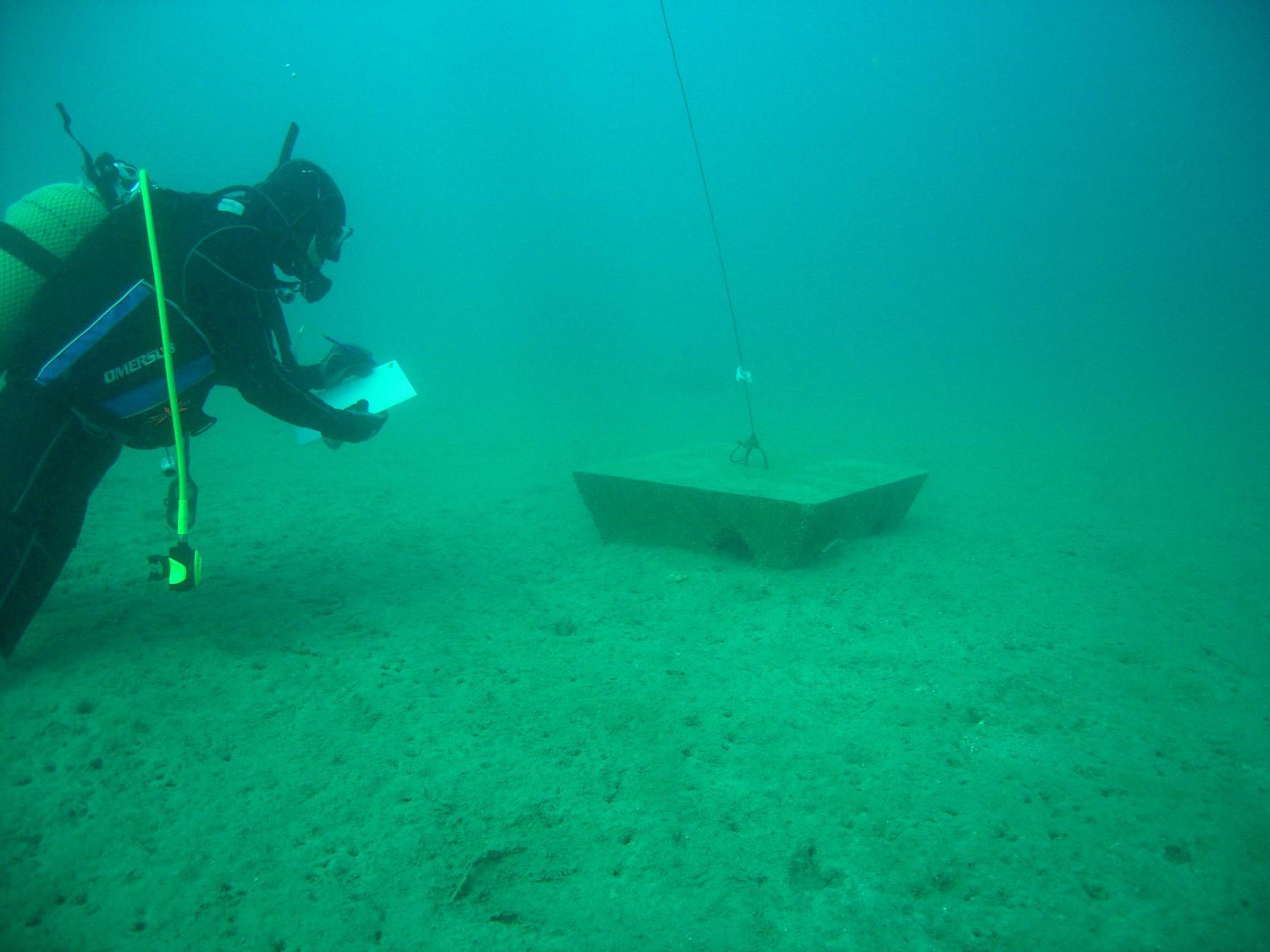 İzmir Körfezi'ne ahtapotlar için yapay resif
