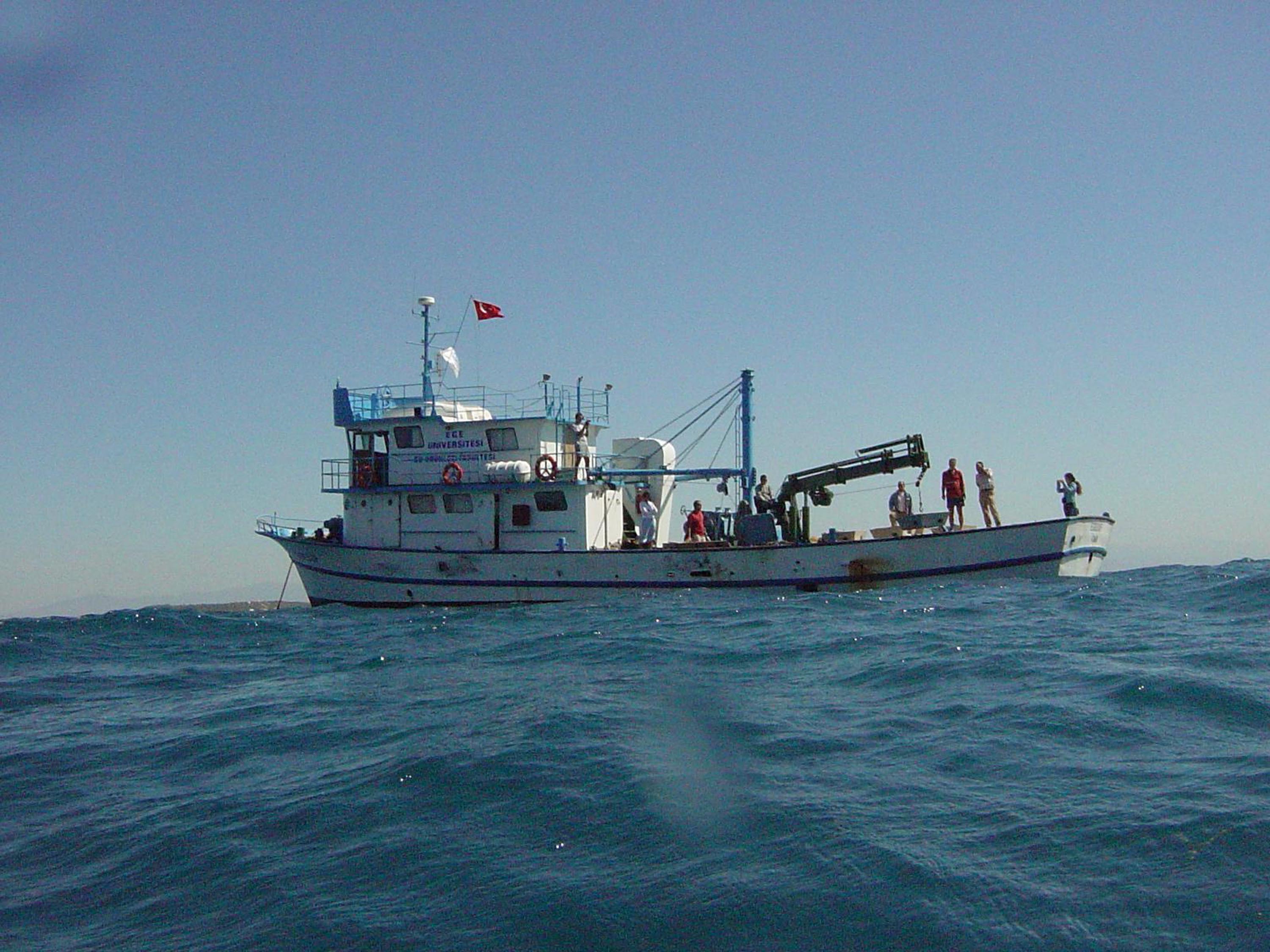 İzmir Körfezi'ne ahtapotlar için yapay resif