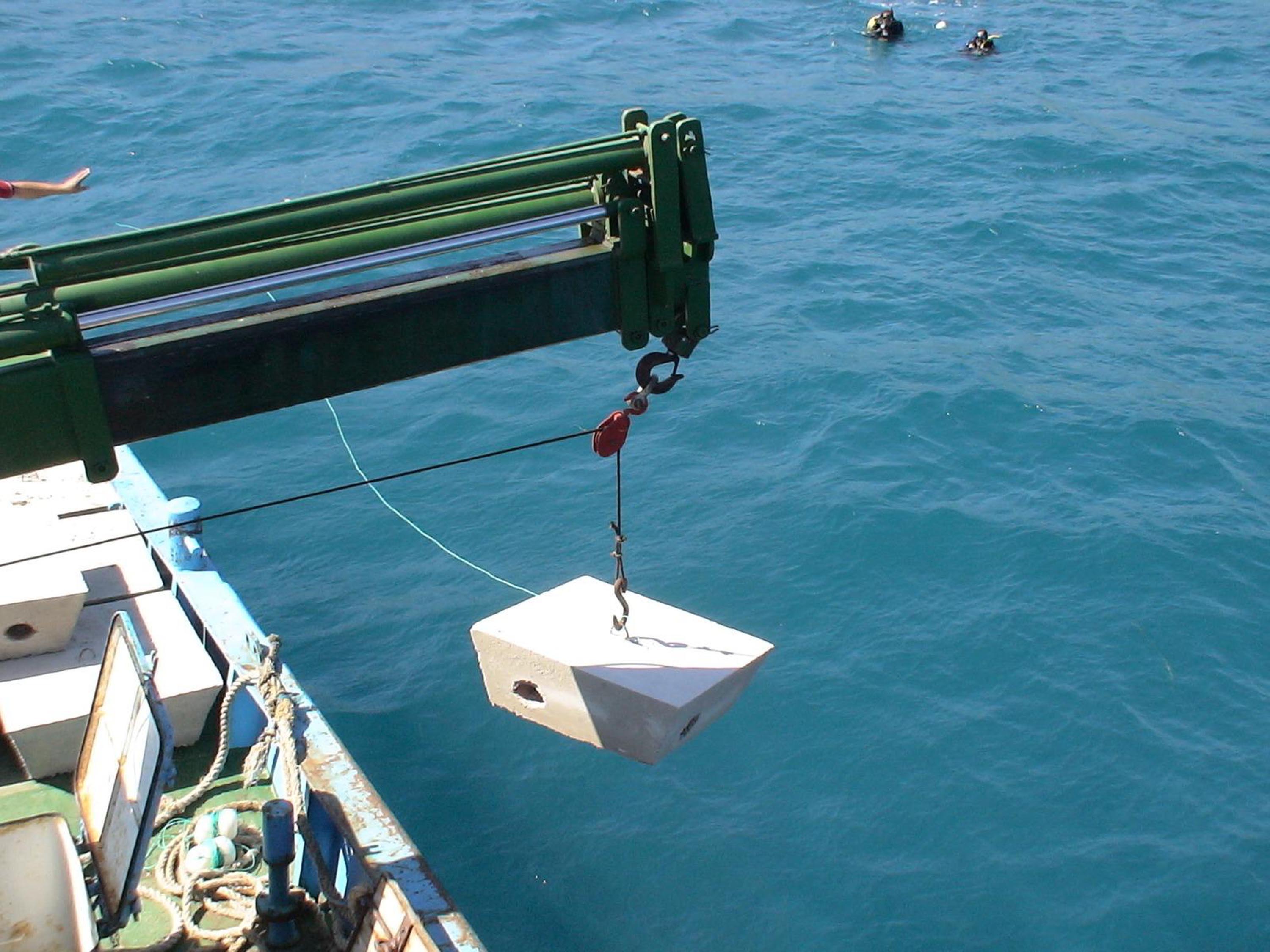 İzmir Körfezi'ne ahtapotlar için yapay resif