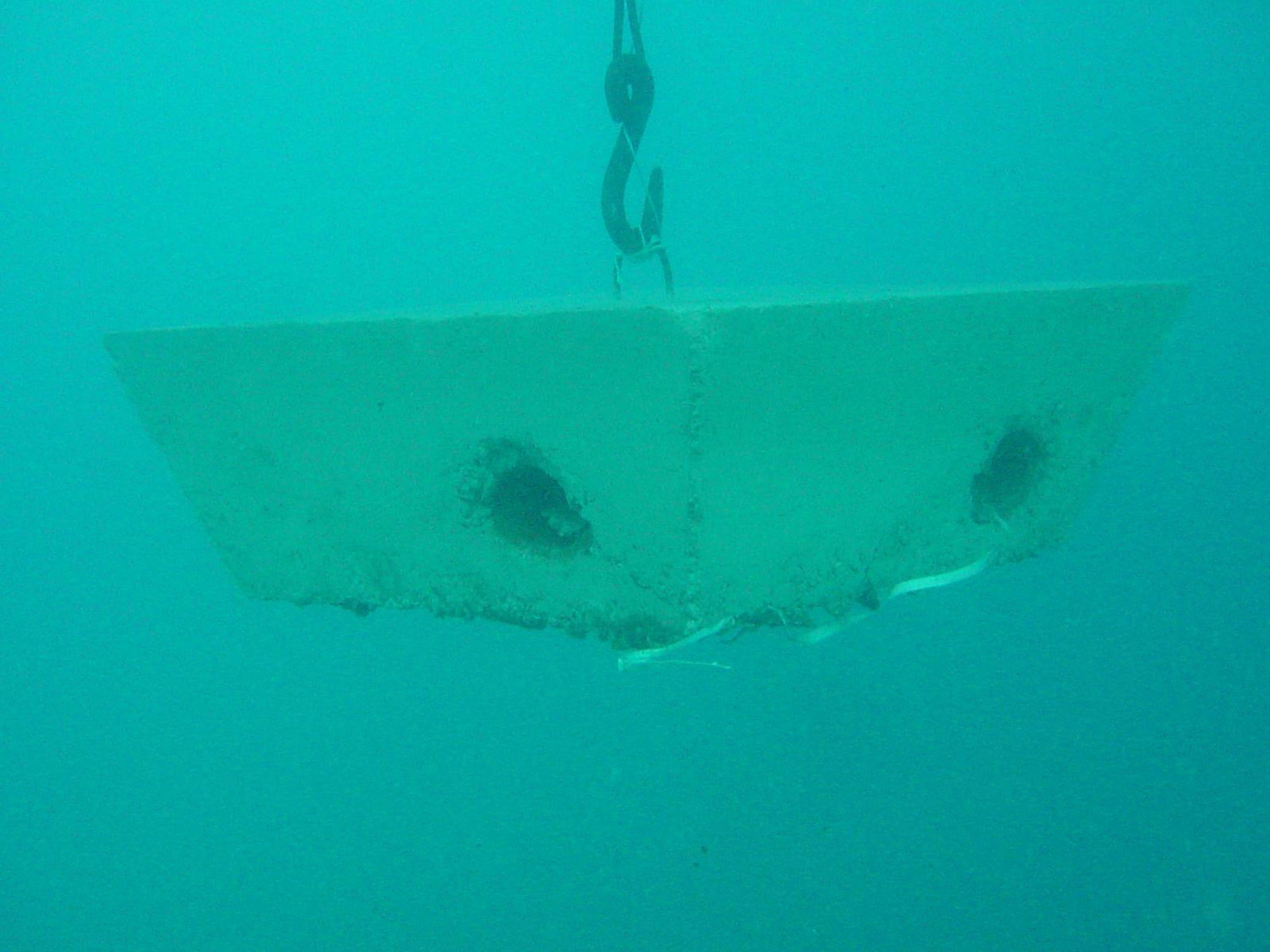 İzmir Körfezi'ne ahtapotlar için yapay resif