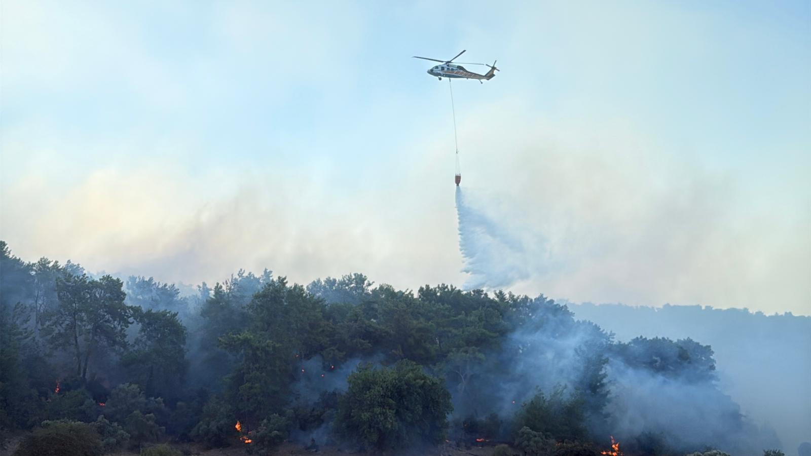 Muğla Köyceğiz ve Milas'ta orman yangını