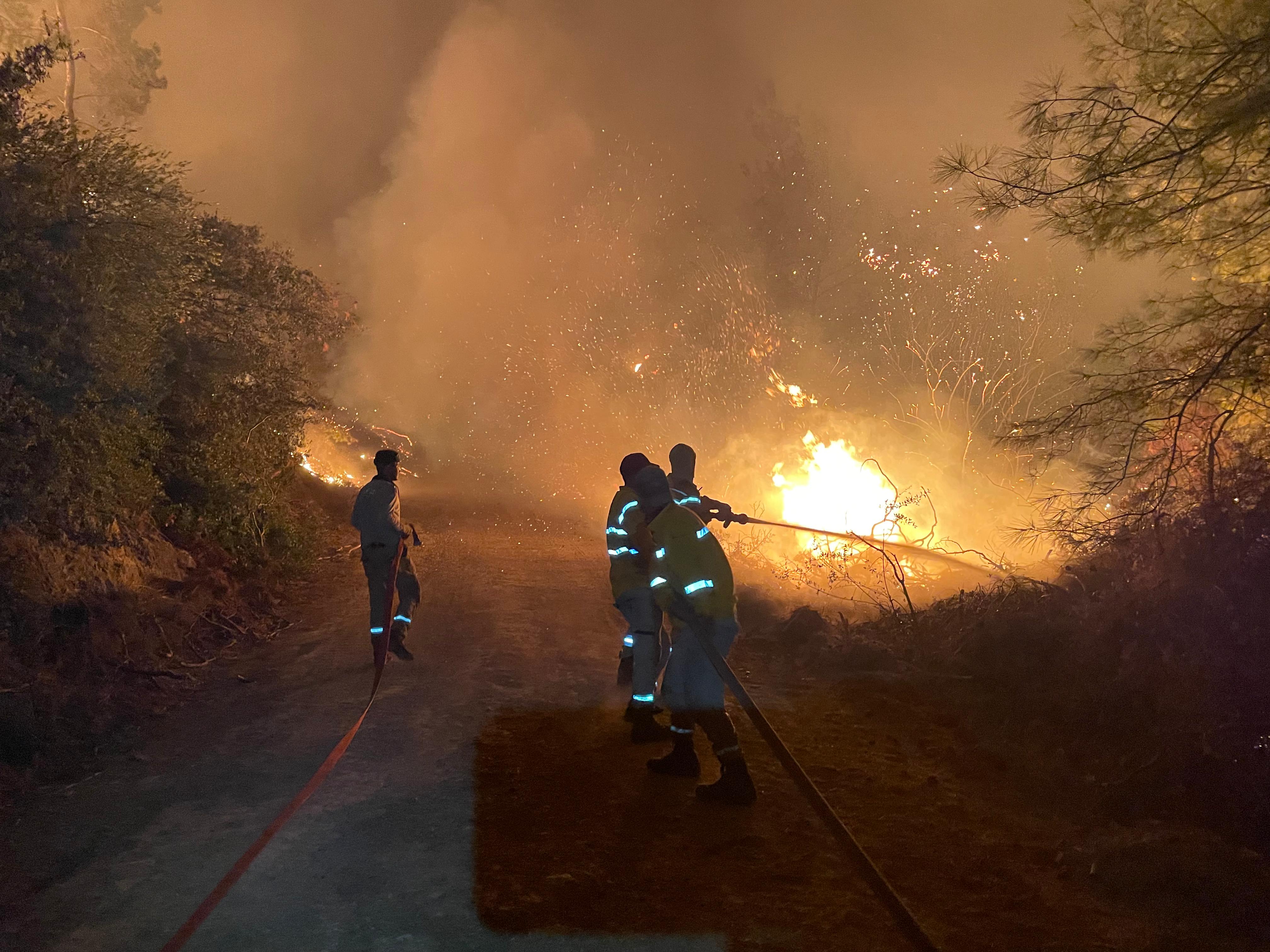 Muğla Köyceğiz ve Milas'ta orman yangını