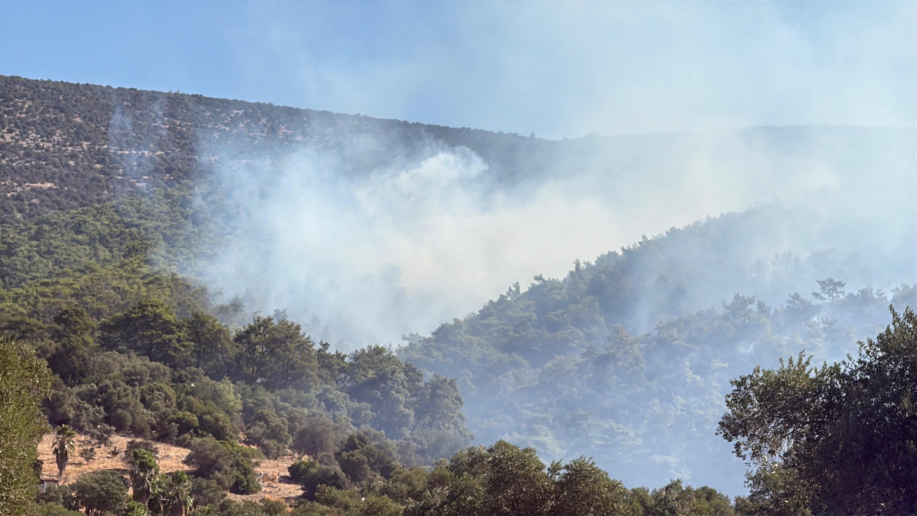 Muğla Köyceğiz ve Milas'ta orman yangını