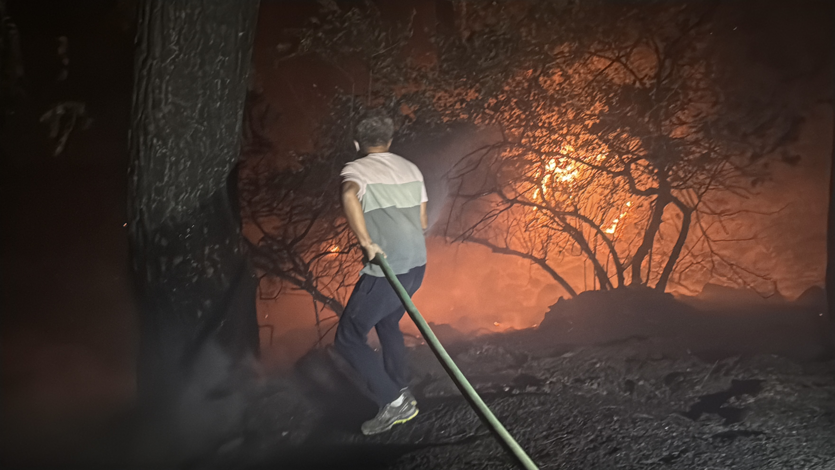 Muğla Köyceğiz ve Milas'ta orman yangını