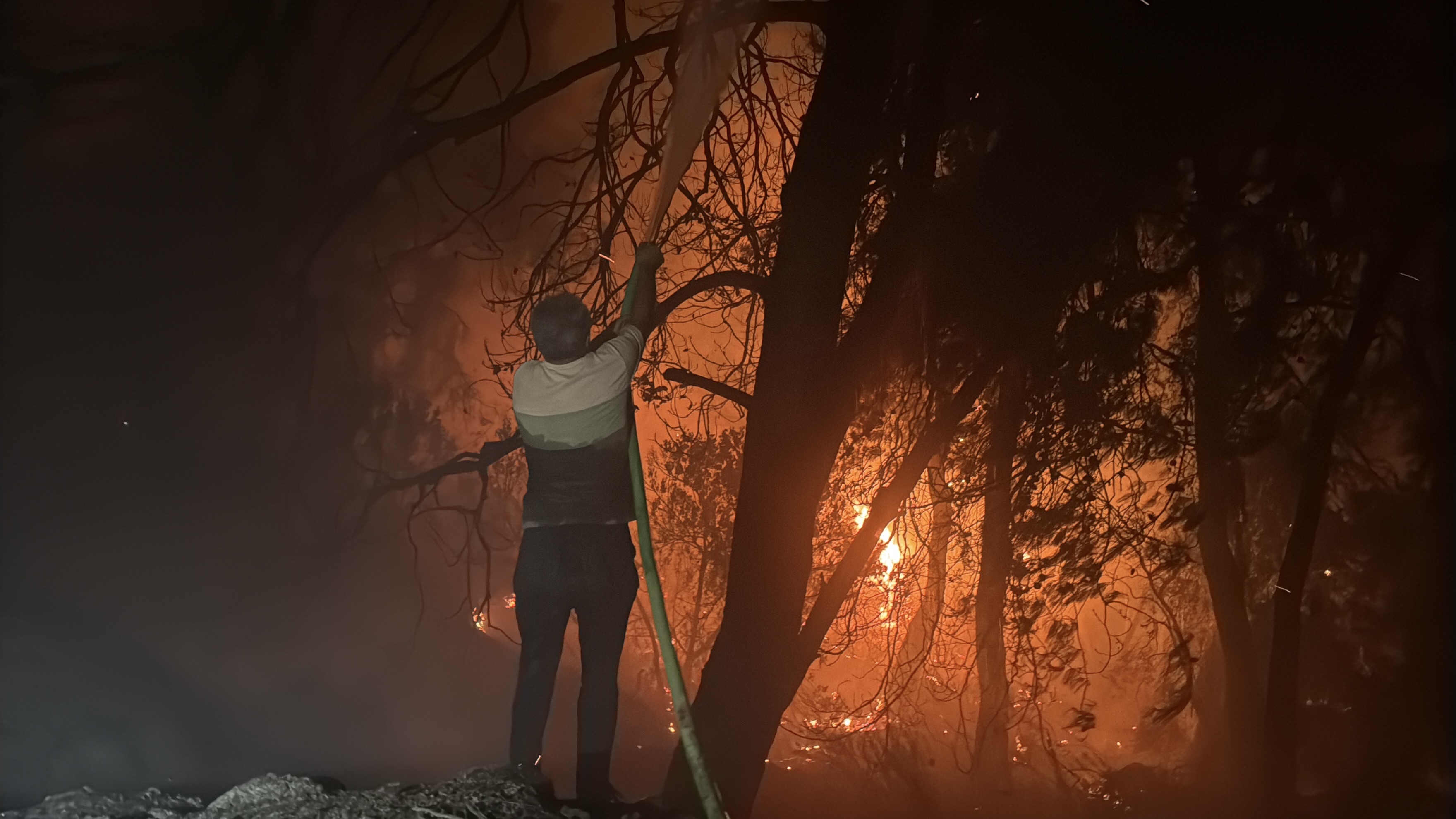 Muğla Köyceğiz ve Milas'ta orman yangını