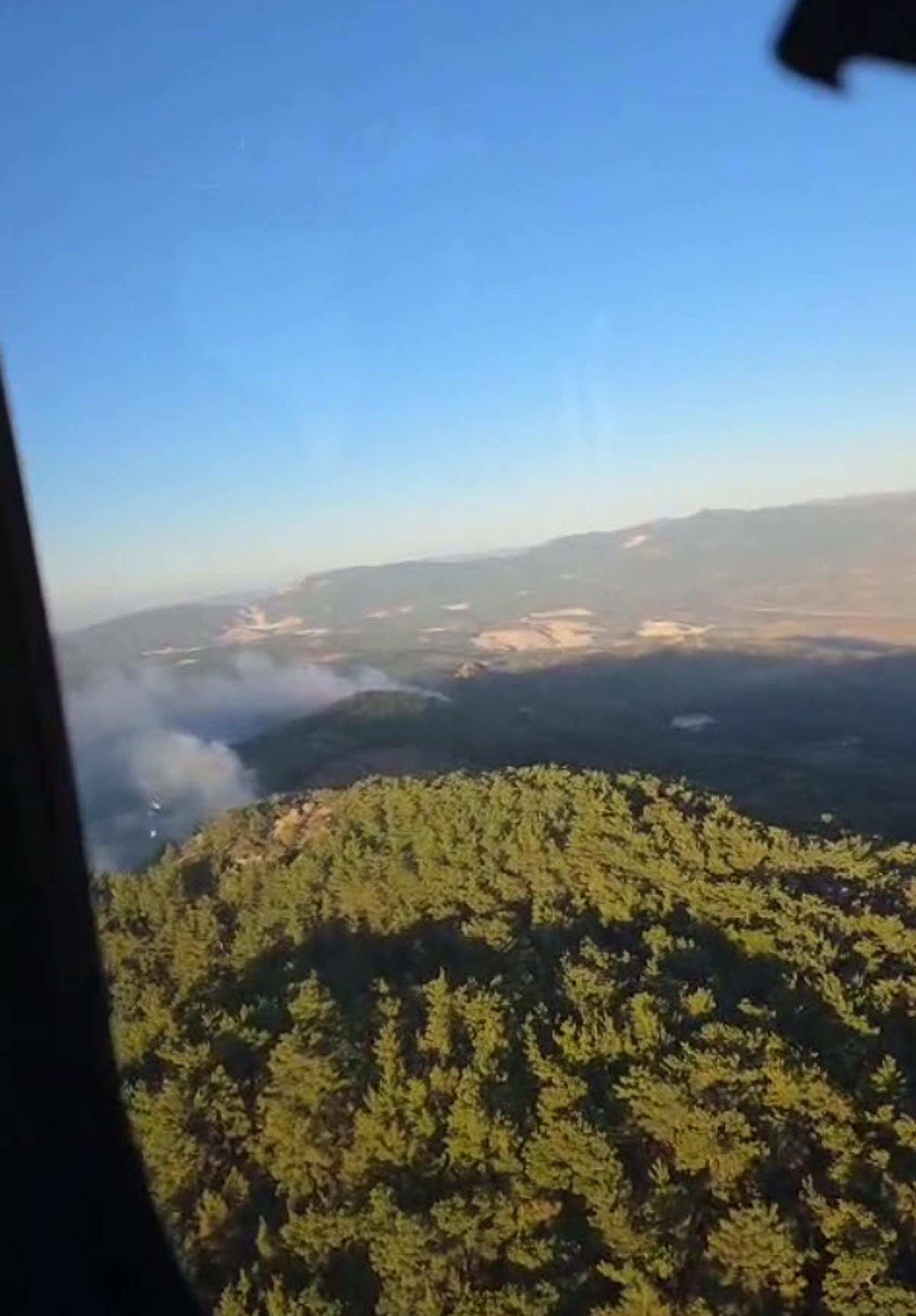 Muğla Köyceğiz ve Milas'ta orman yangını