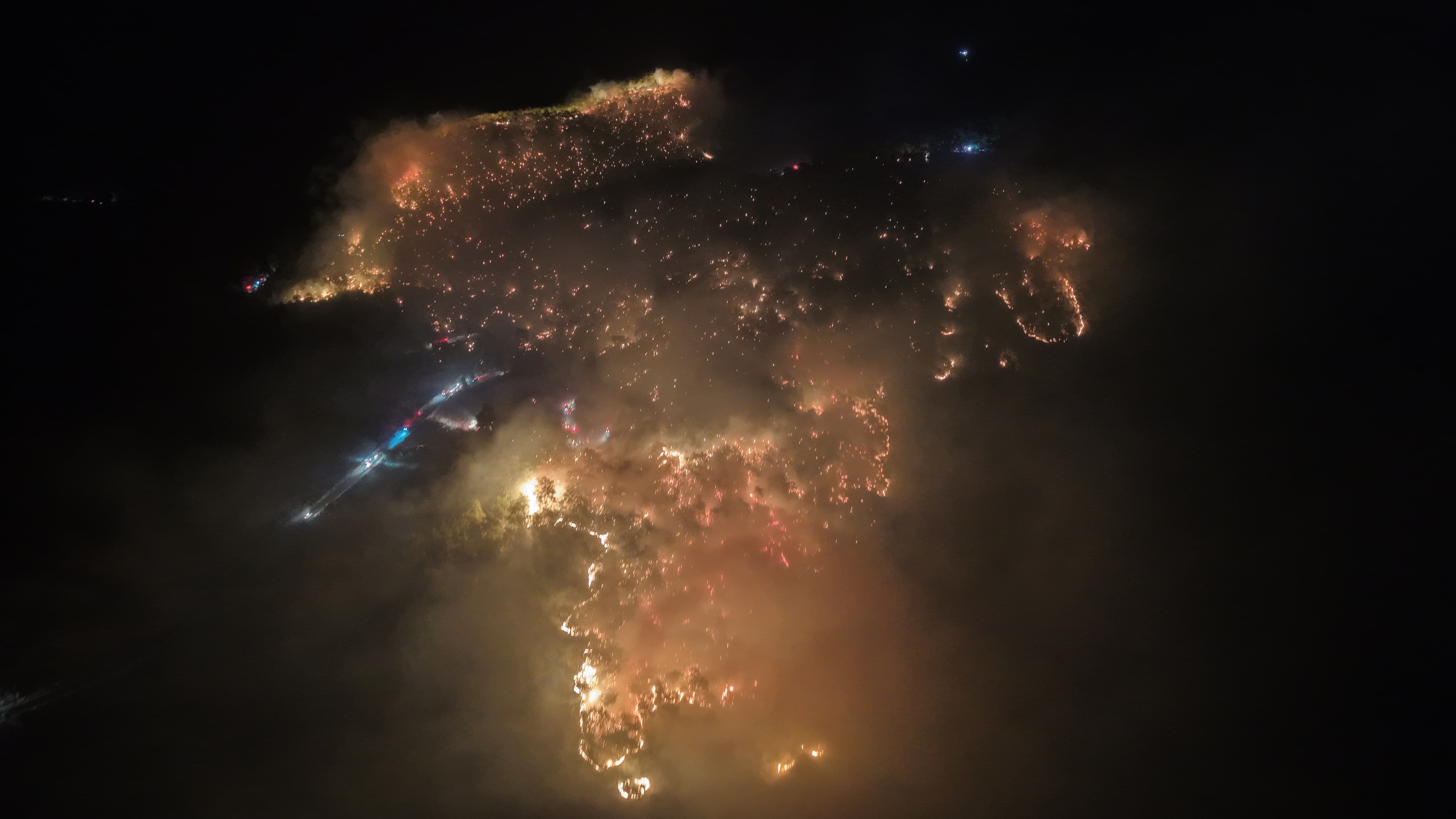 Muğla Köyceğiz ve Milas'ta orman yangını