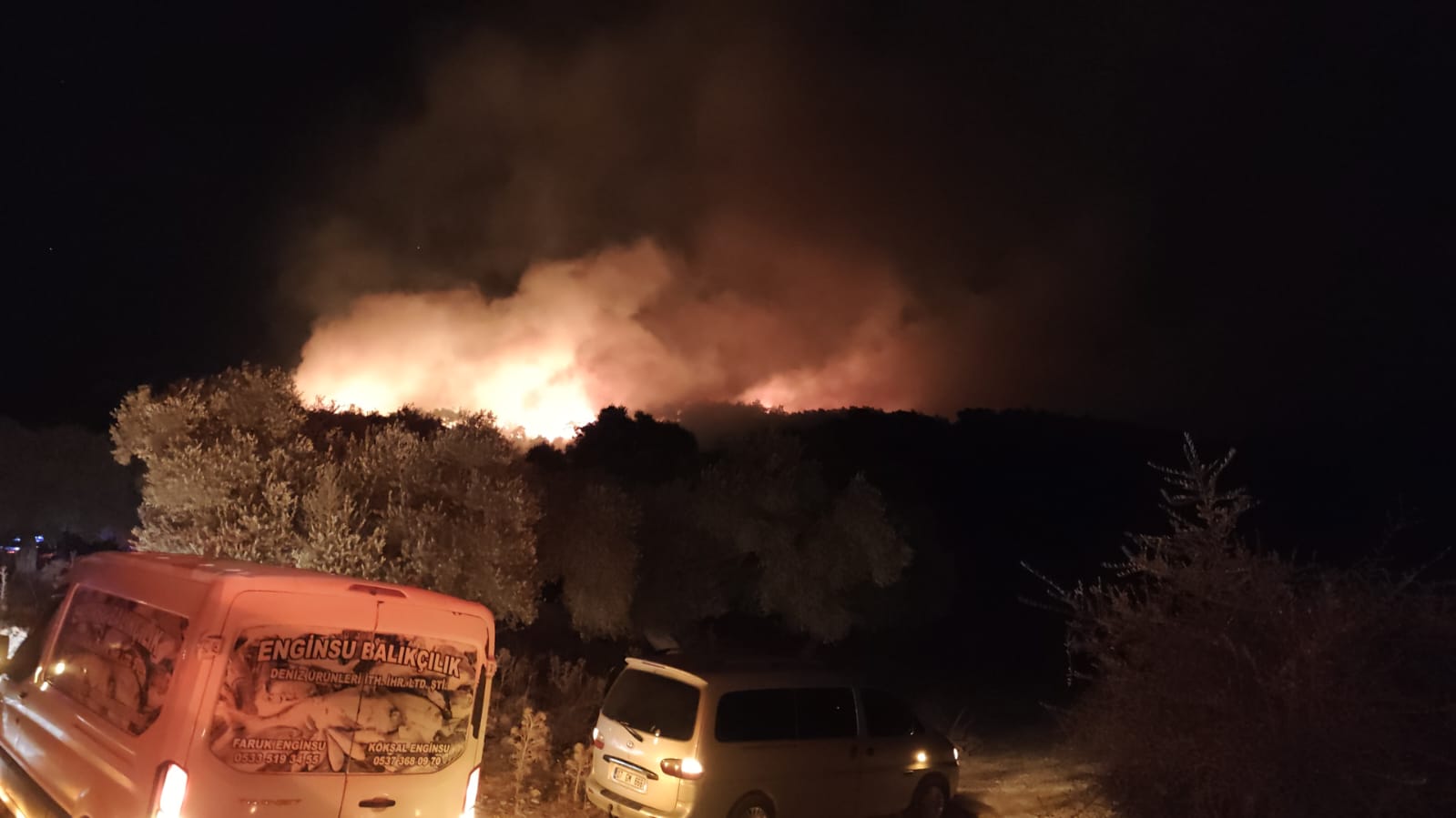 Muğla Köyceğiz ve Milas'ta orman yangını