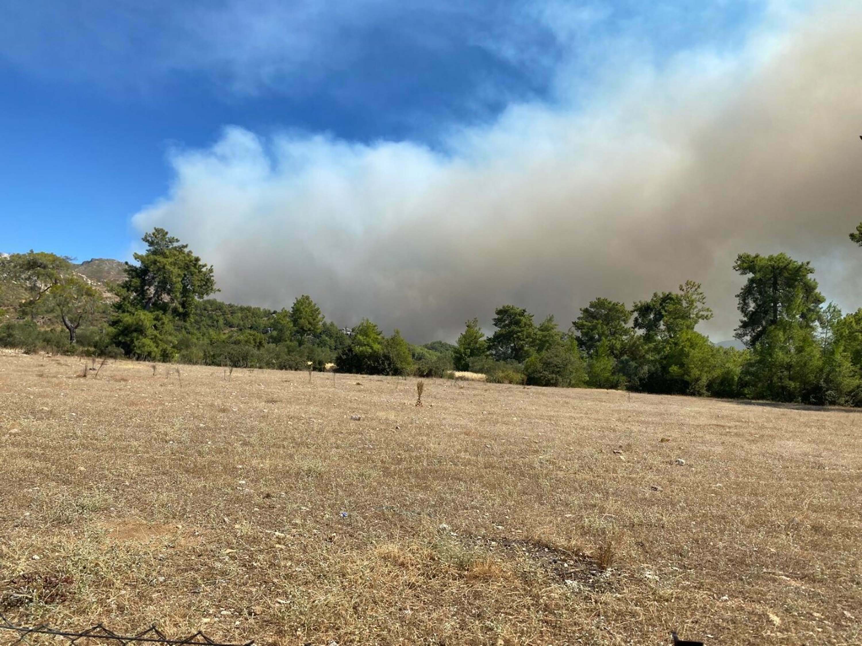 Muğla Köyceğiz ve Milas'ta orman yangını