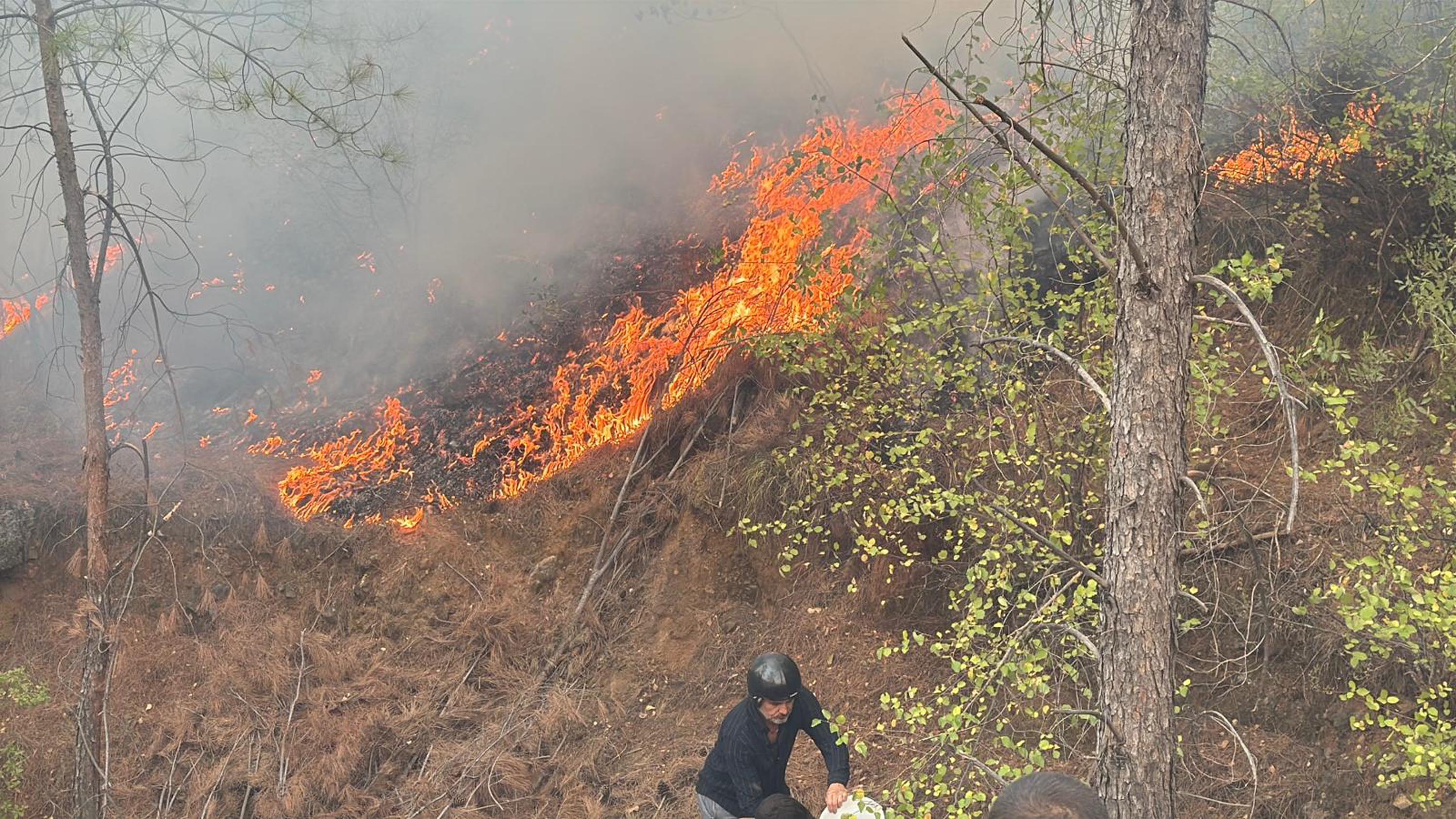 Muğla Köyceğiz ve Milas'ta orman yangını