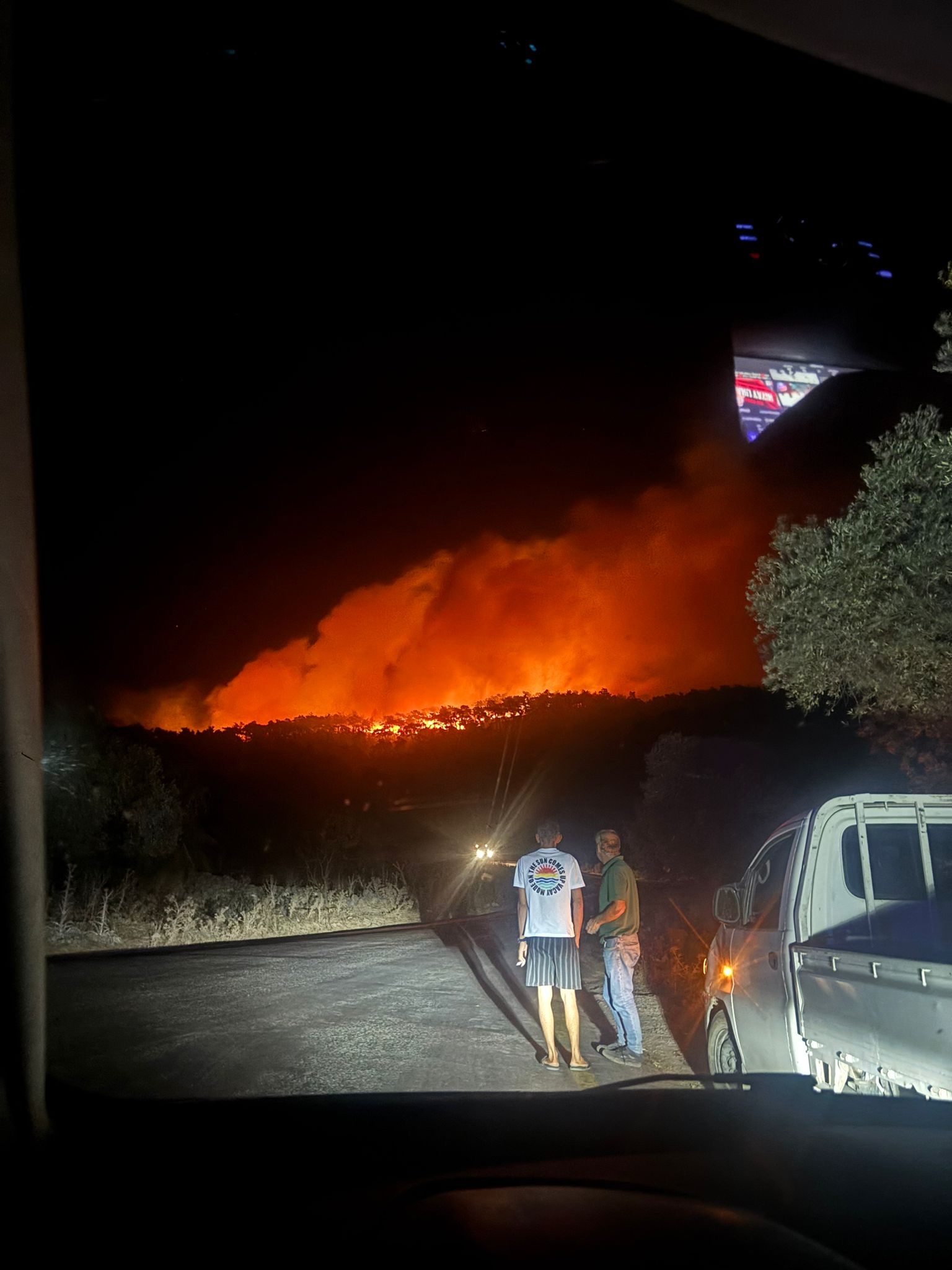 Muğla Köyceğiz ve Milas'ta orman yangını