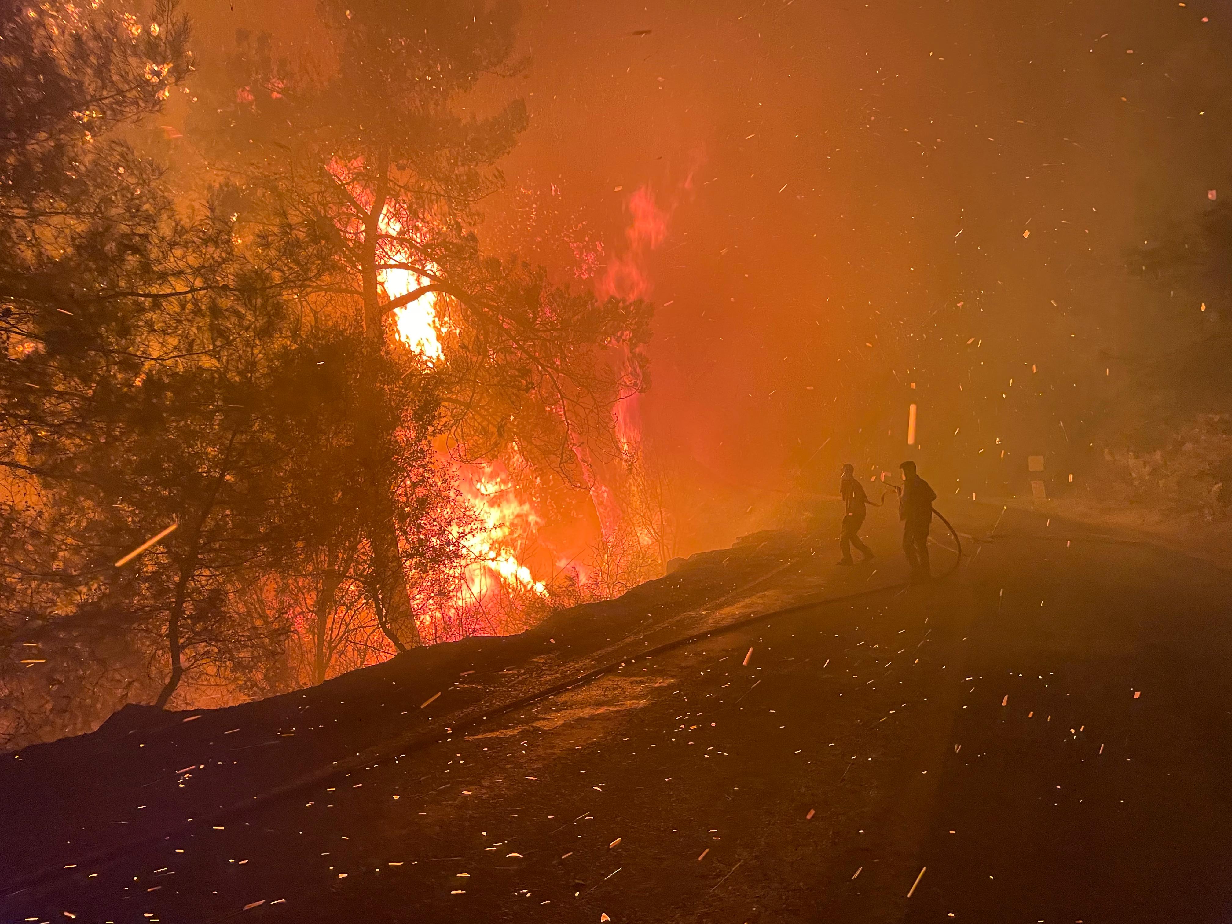 Muğla Köyceğiz ve Milas'ta orman yangını