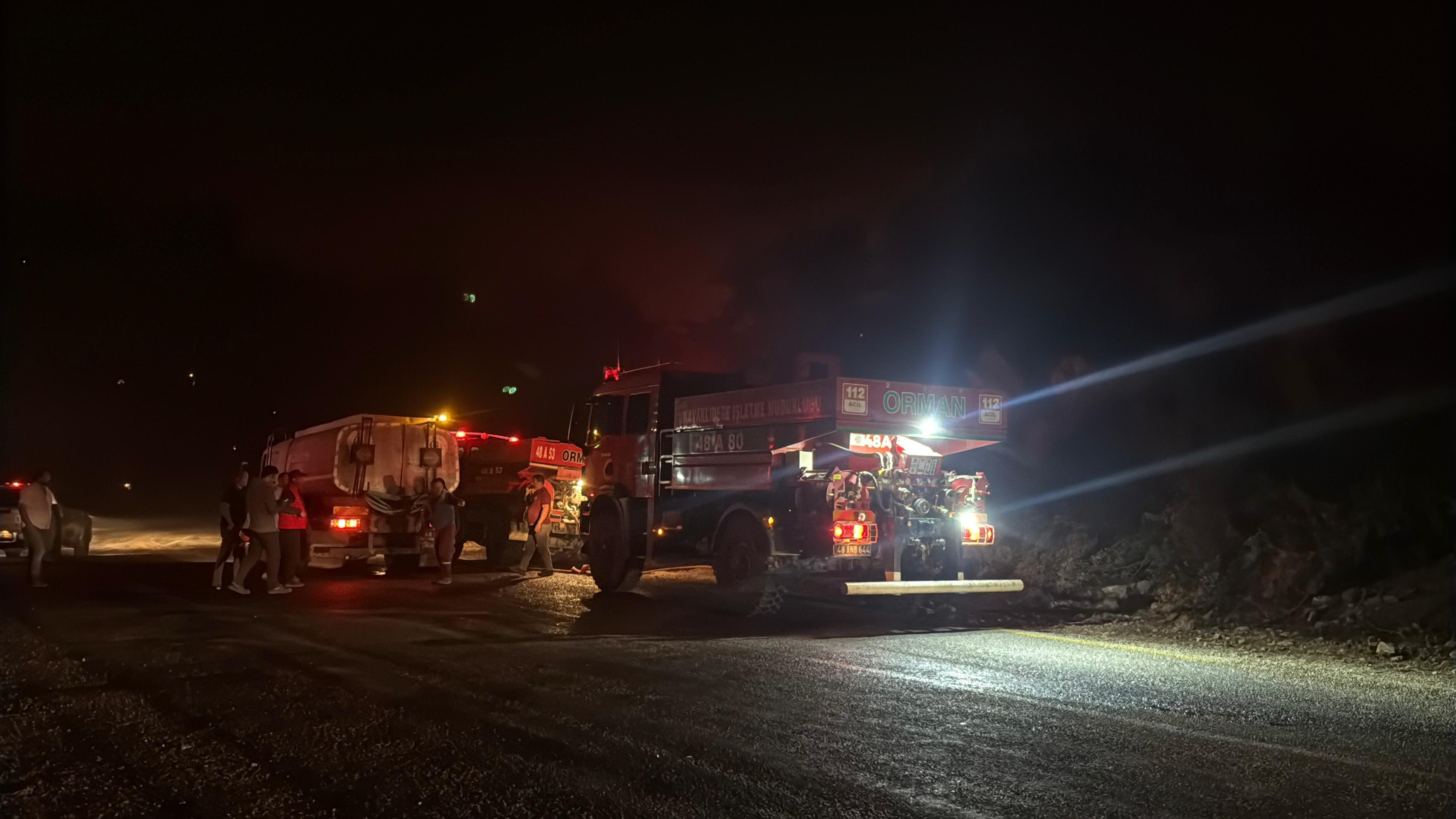 Muğla Köyceğiz ve Milas'ta orman yangını