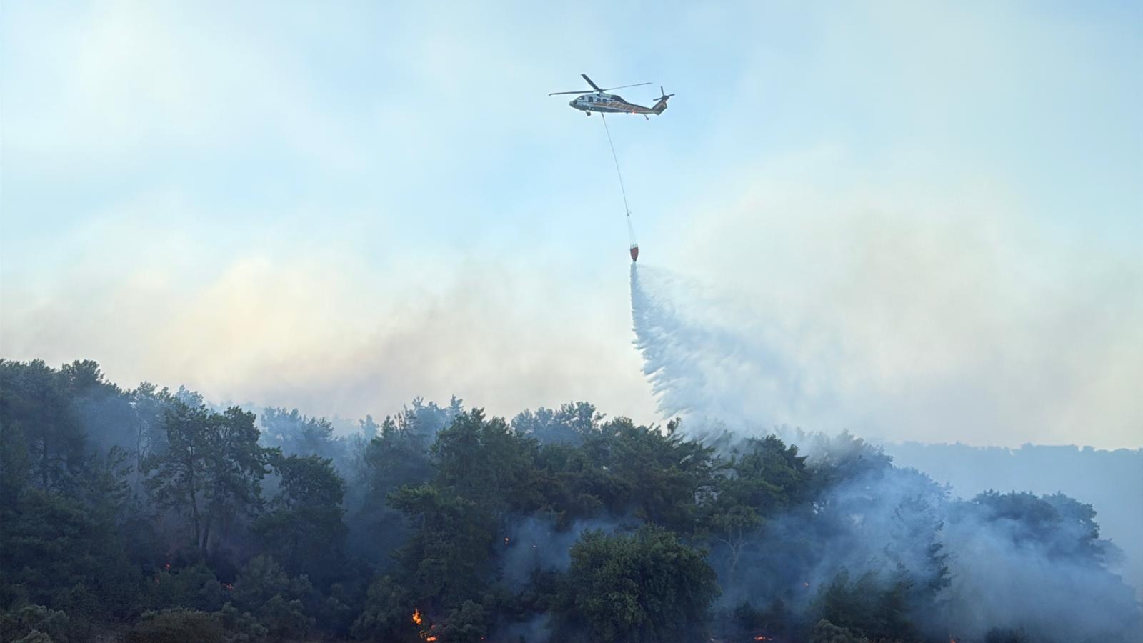 Muğla Köyceğiz ve Milas'ta orman yangını