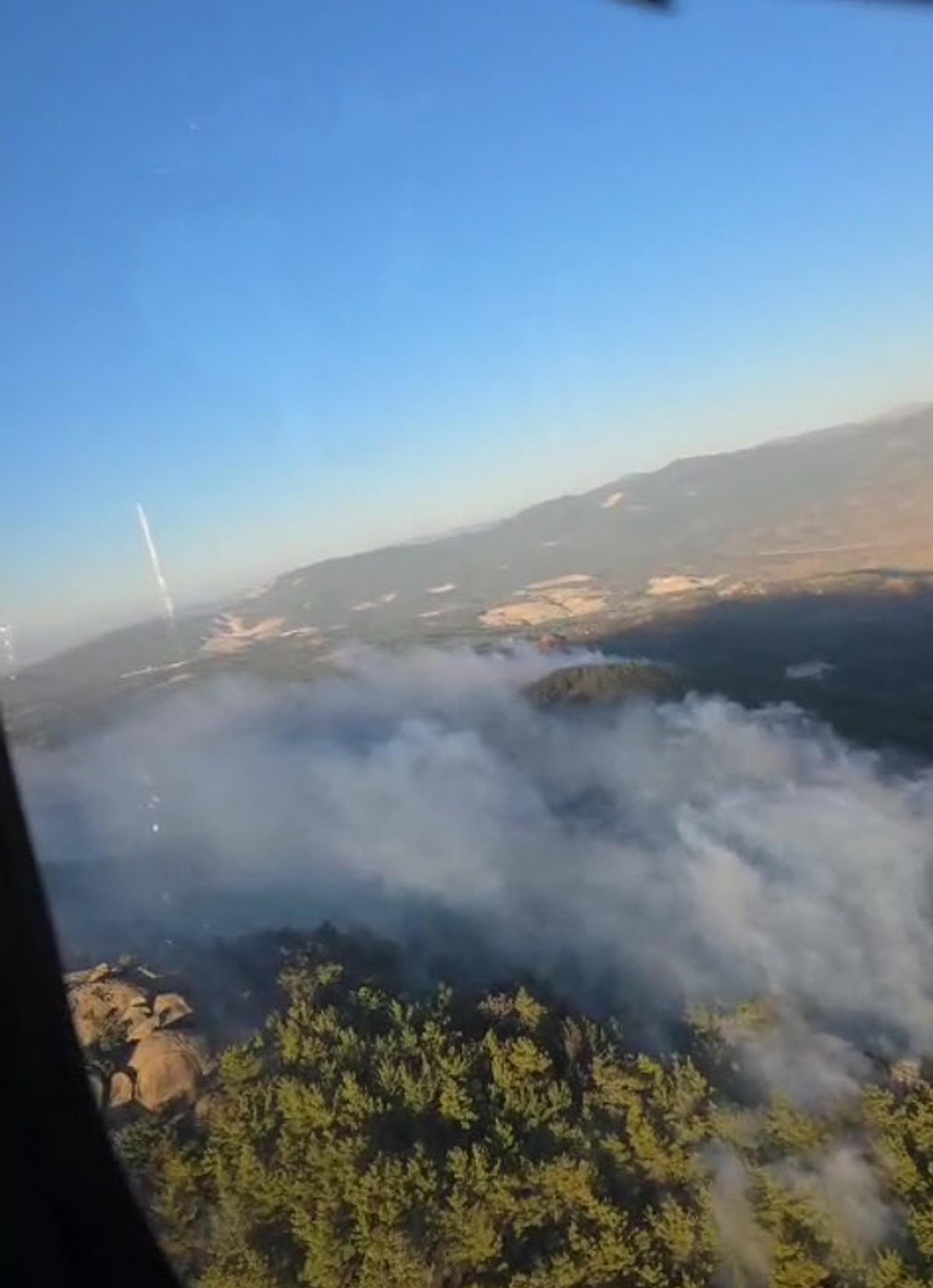 Muğla Köyceğiz ve Milas'ta orman yangını