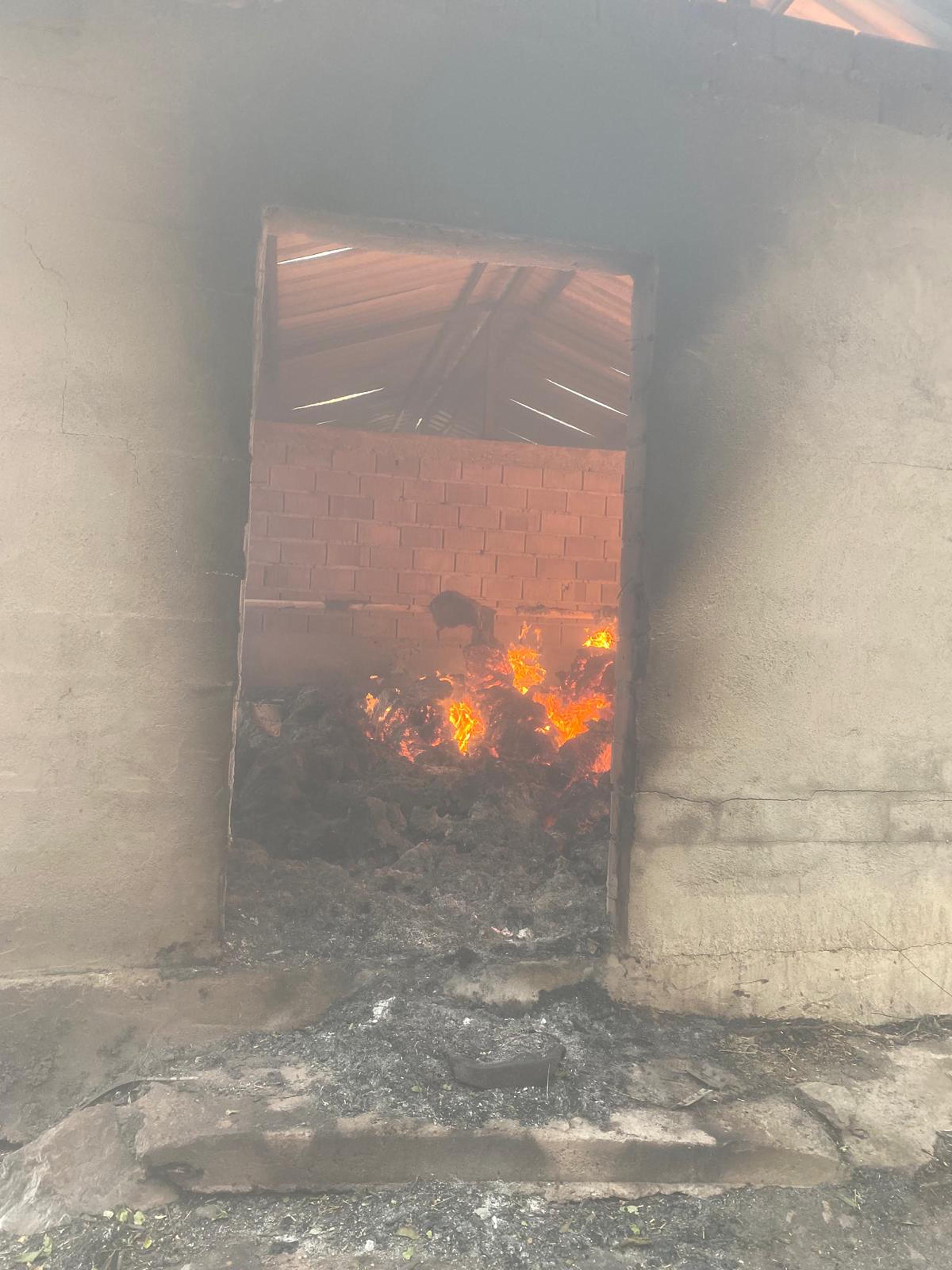 Muğla Köyceğiz ve Milas'ta orman yangını