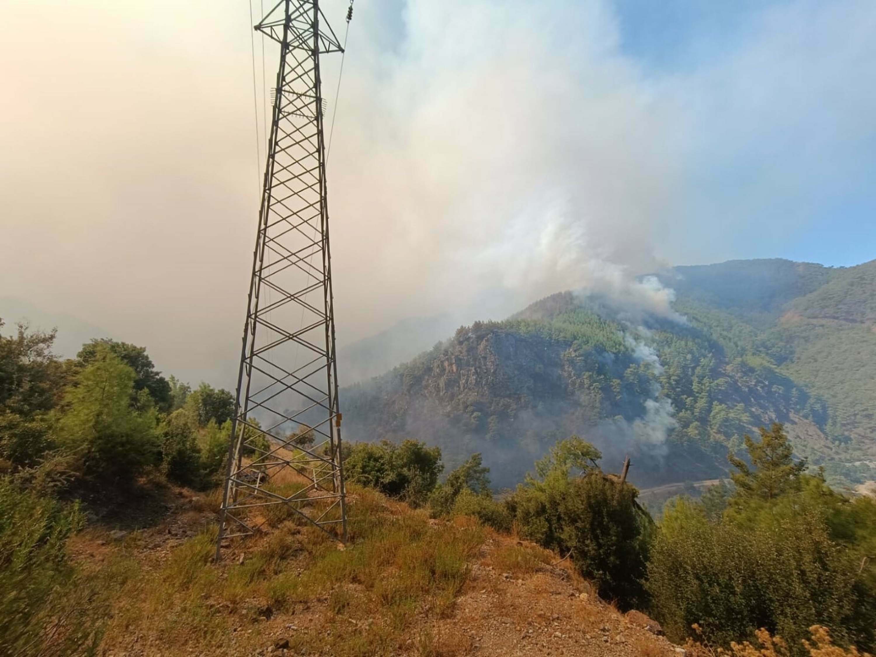 Muğla Köyceğiz ve Milas'ta orman yangını