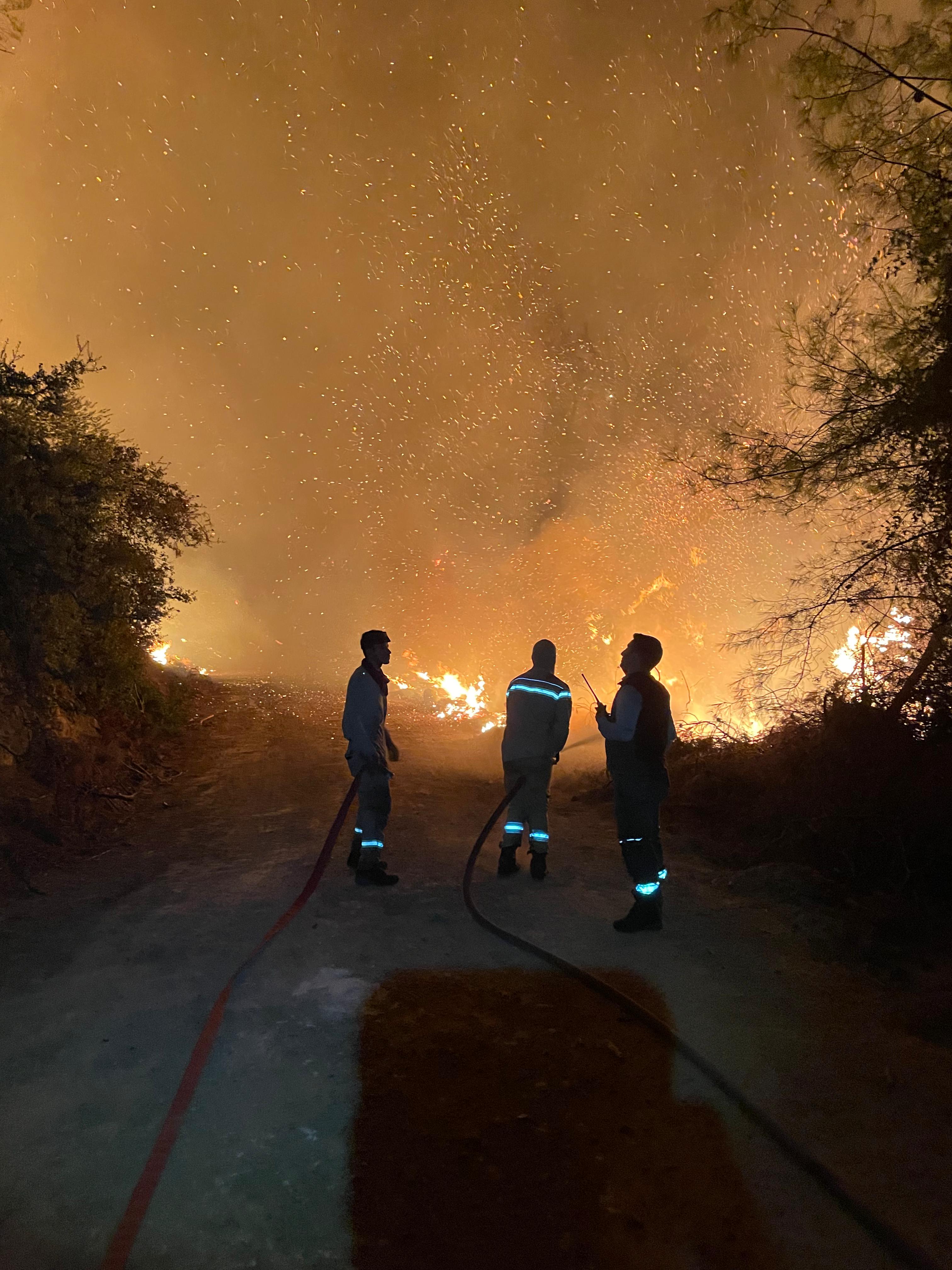 Muğla Köyceğiz ve Milas'ta orman yangını