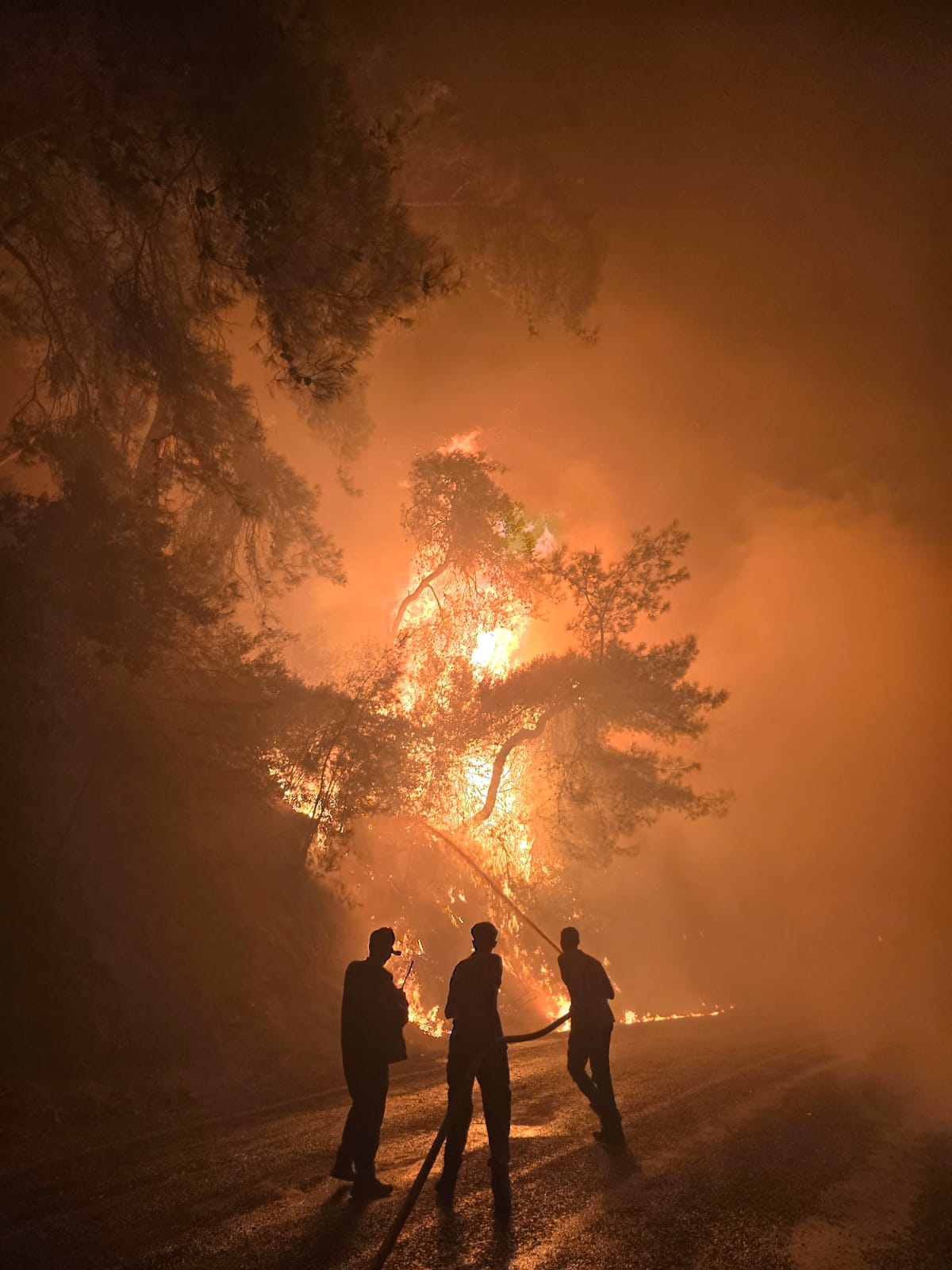 Muğla Köyceğiz ve Milas'ta orman yangını