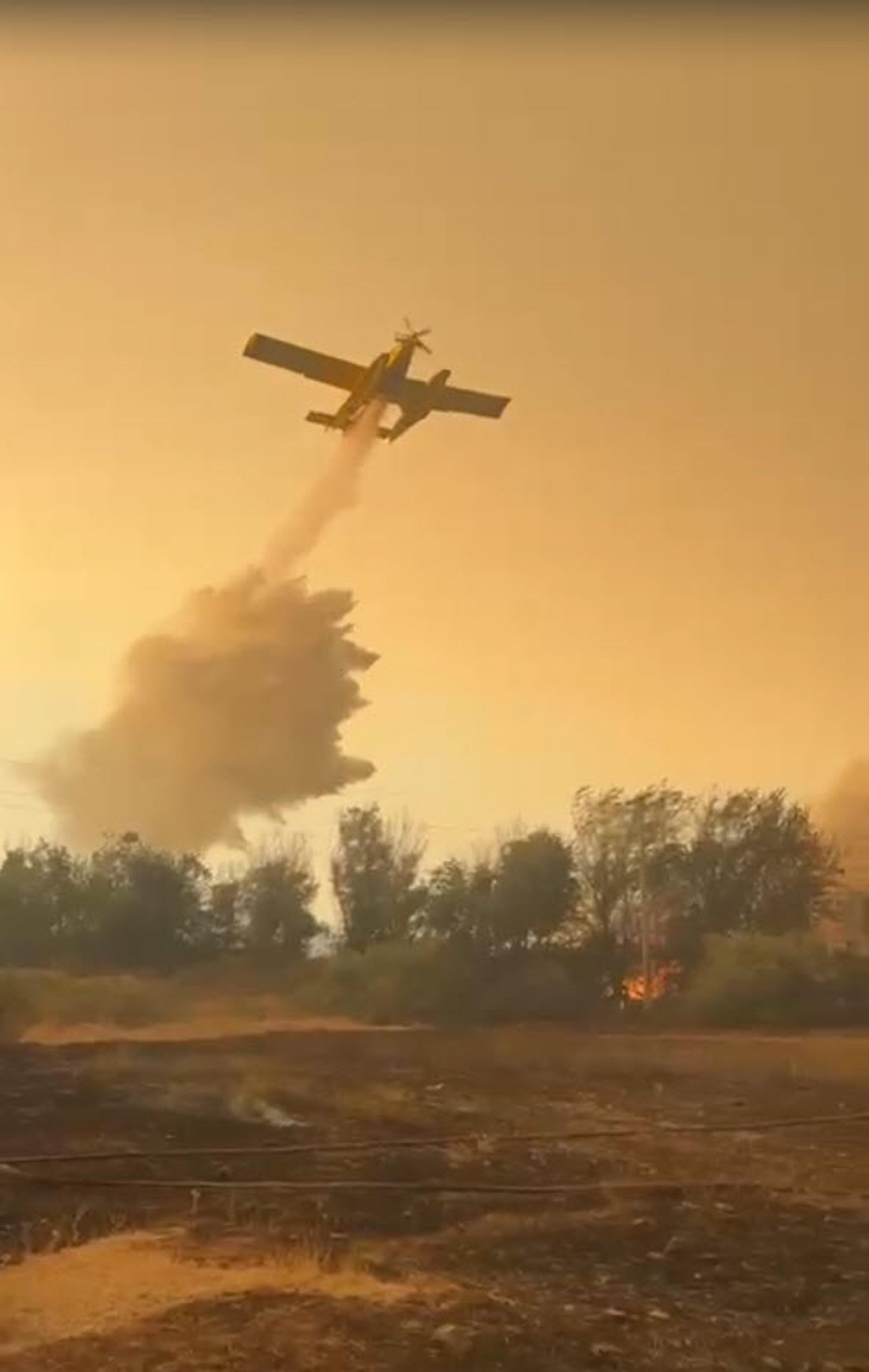 Muğla Köyceğiz ve Milas'ta orman yangını