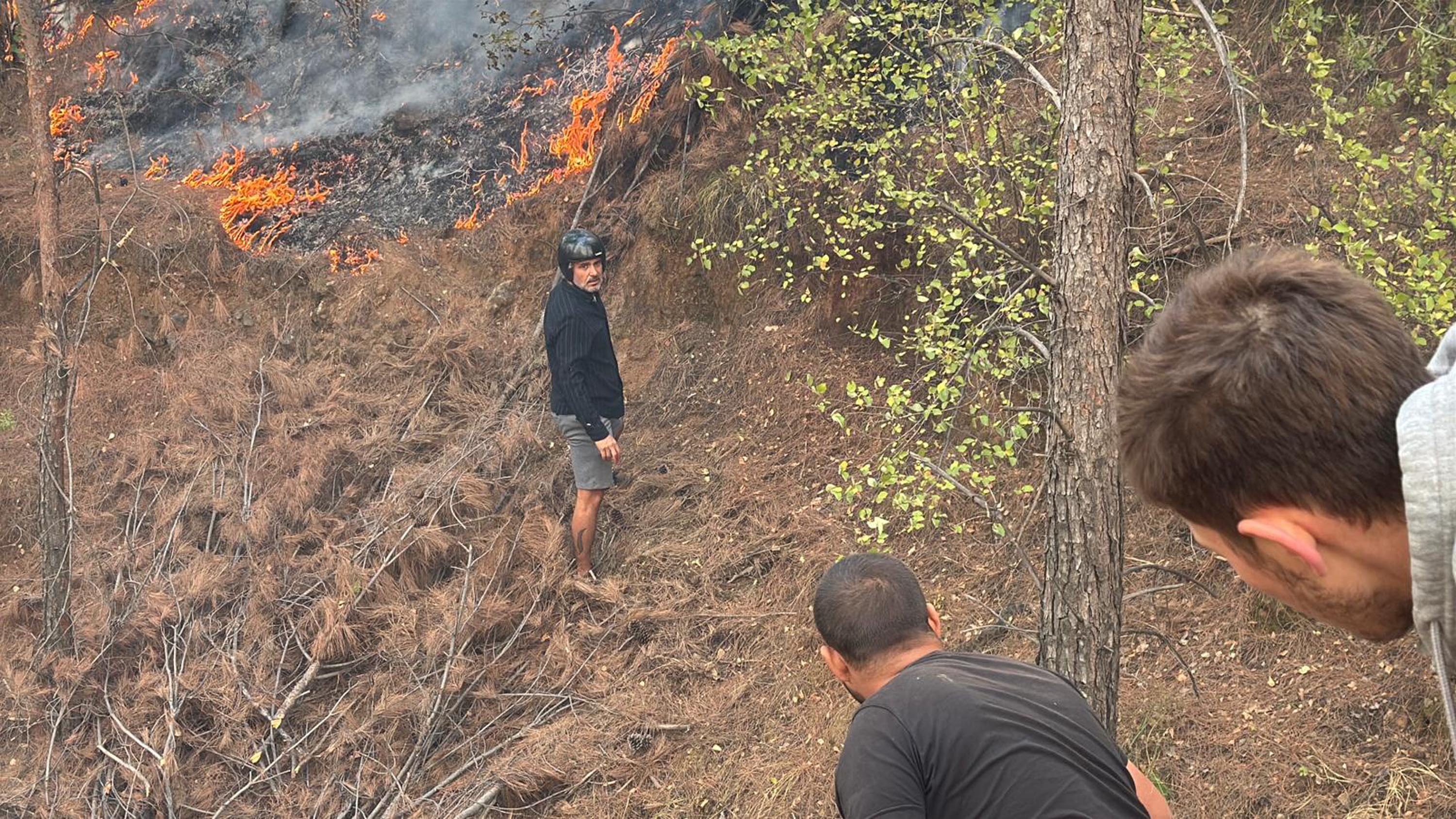 Muğla Köyceğiz ve Milas'ta orman yangını