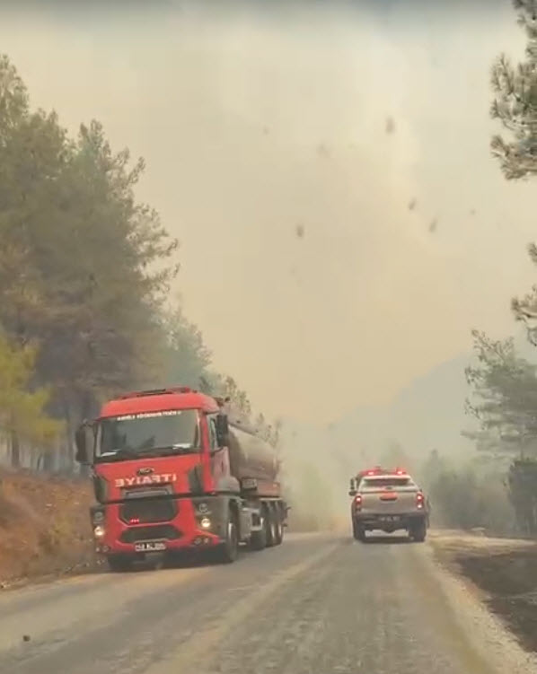 Muğla Köyceğiz ve Milas'ta orman yangını