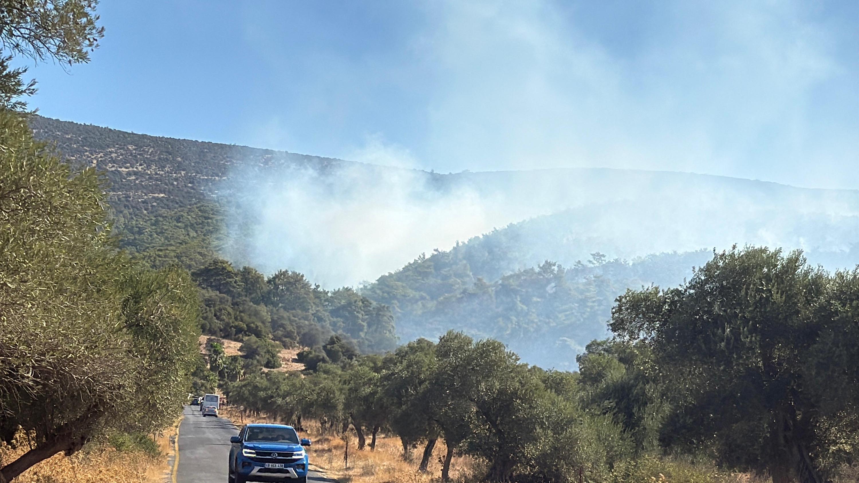 Muğla Köyceğiz ve Milas'ta orman yangını