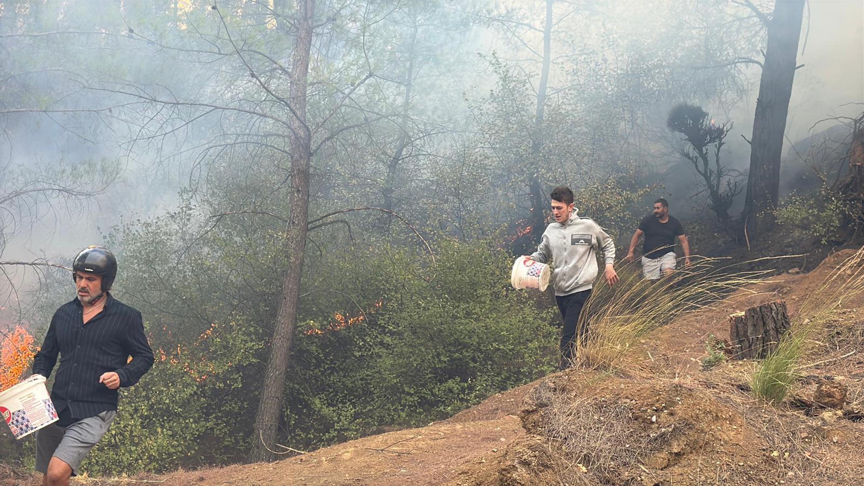 Muğla Köyceğiz ve Milas'ta orman yangını