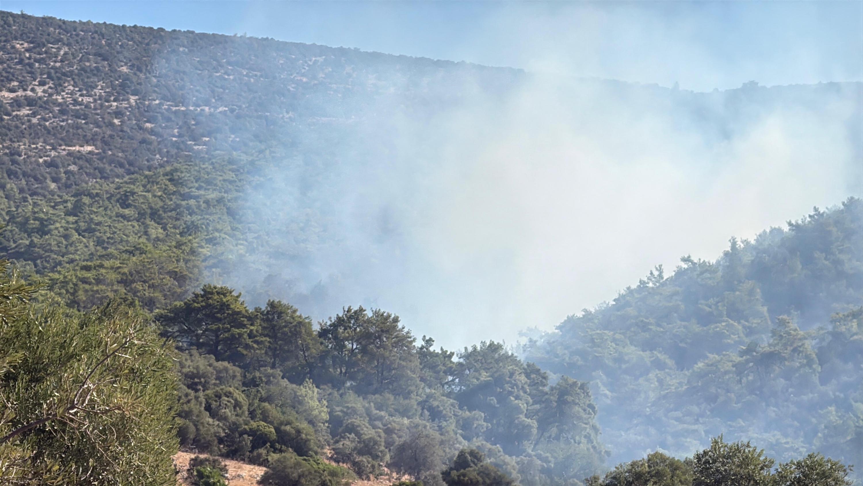 Muğla Köyceğiz ve Milas'ta orman yangını