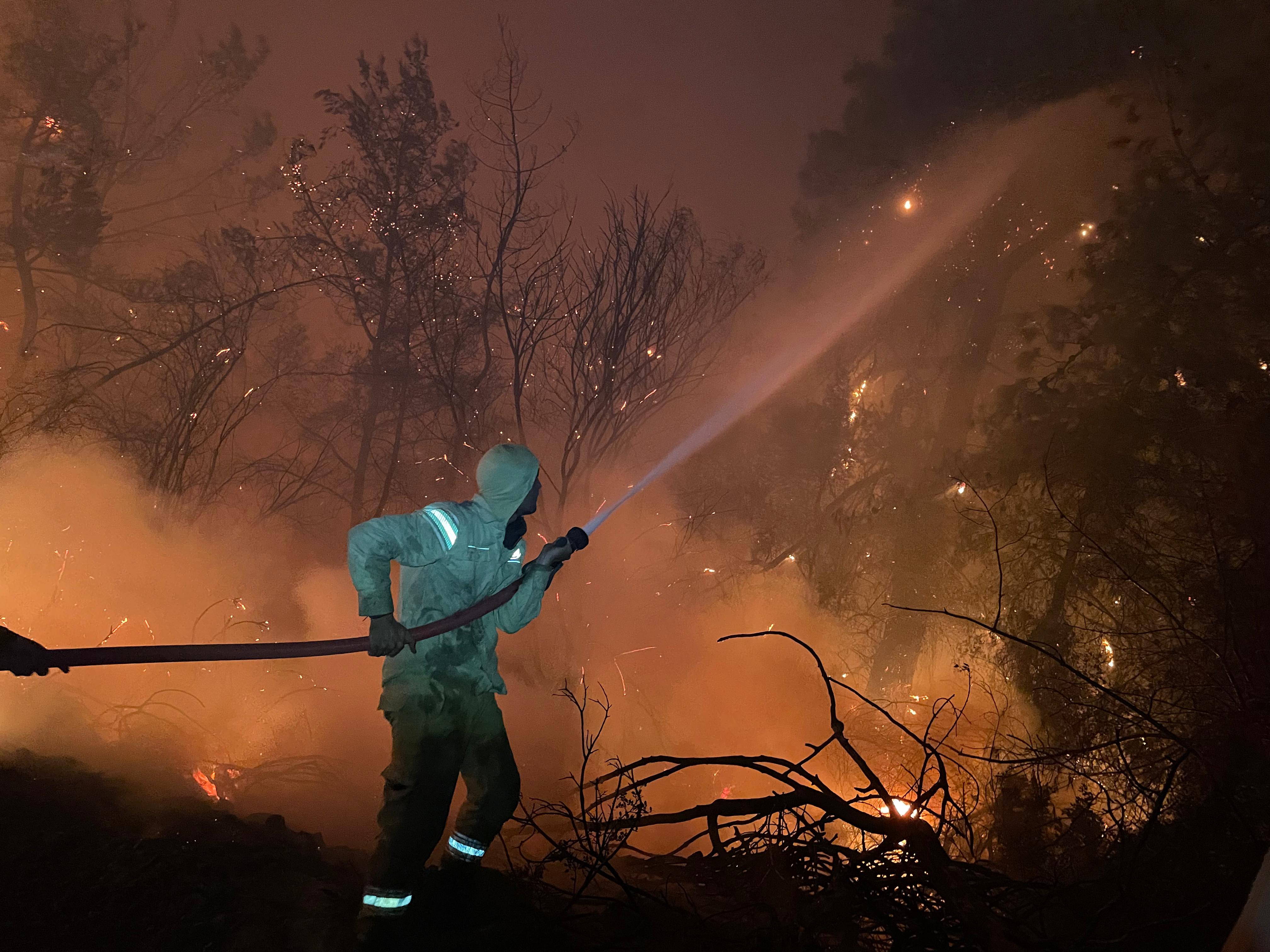 Muğla Köyceğiz ve Milas'ta orman yangını