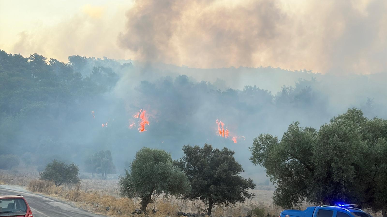 Muğla Köyceğiz ve Milas'ta orman yangını